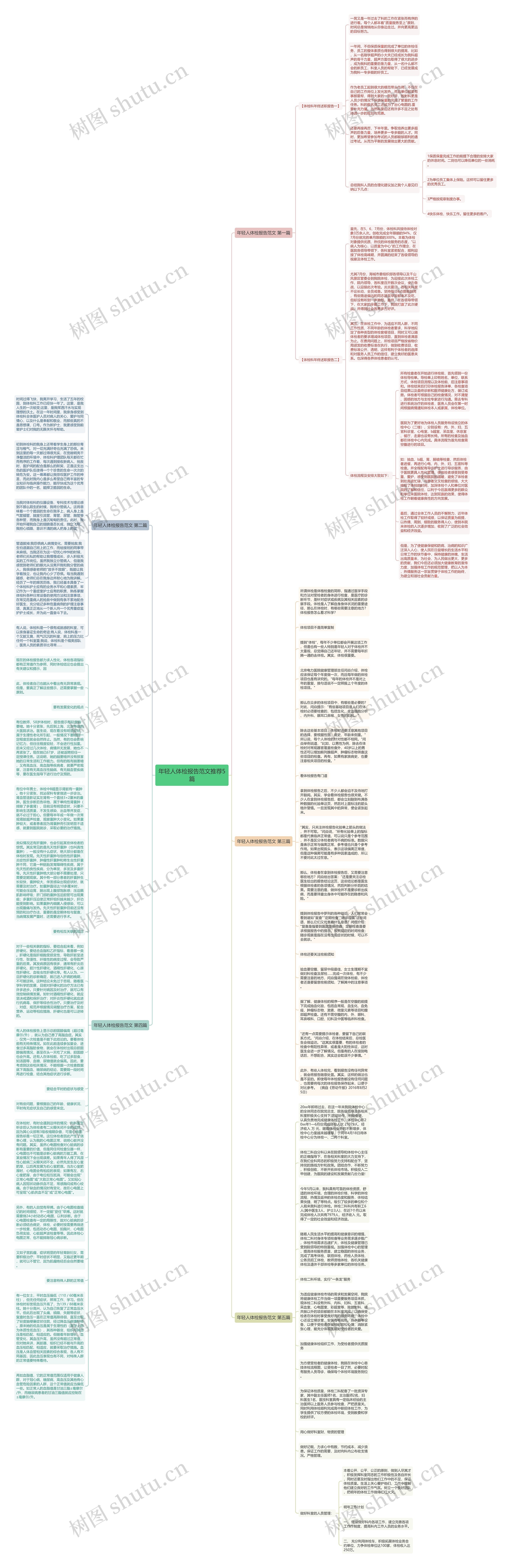 年轻人体检报告范文推荐5篇思维导图