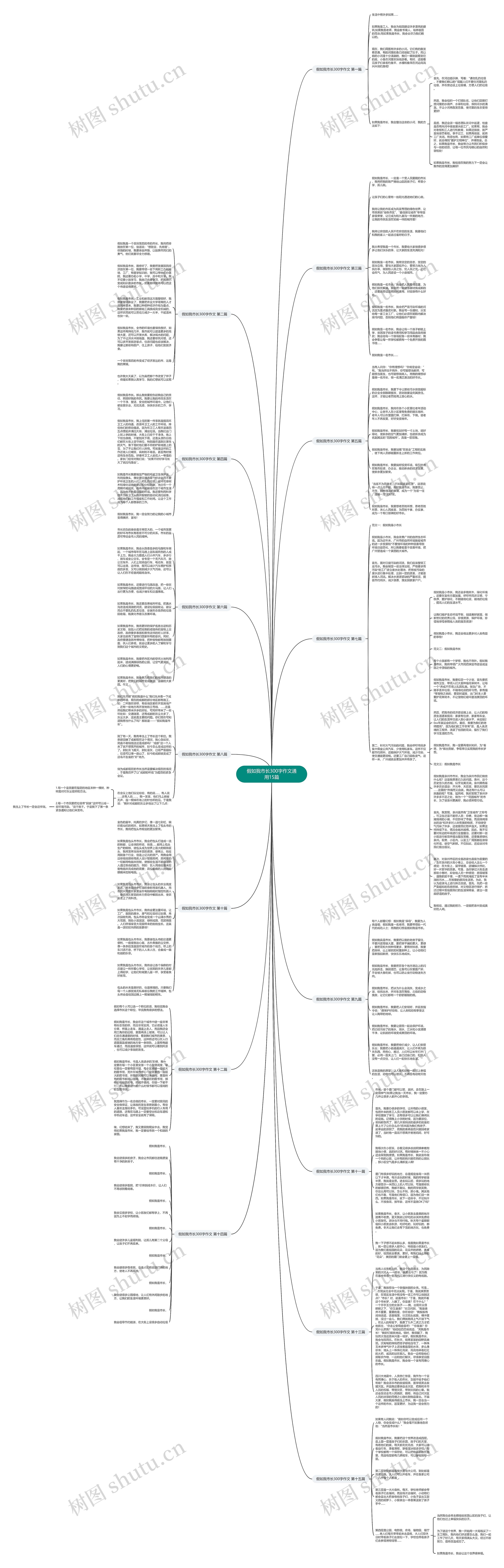 假如我市长300字作文通用15篇思维导图