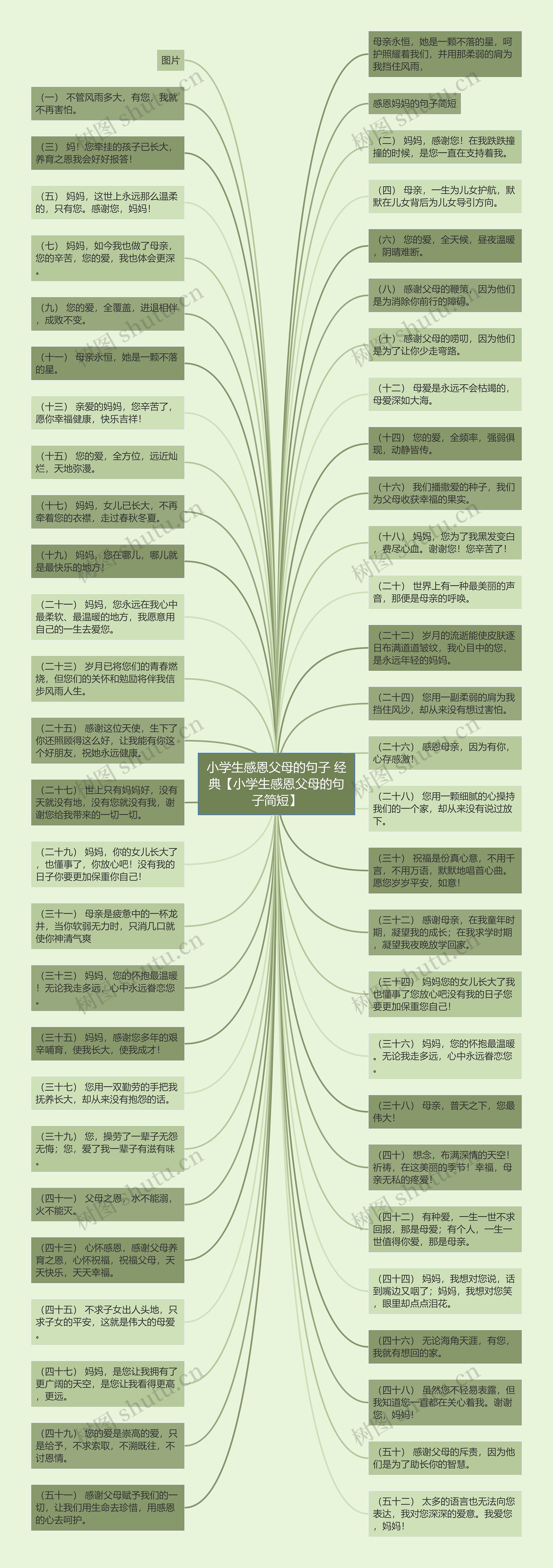 小学生感恩父母的句子 经典【小学生感恩父母的句子简短】