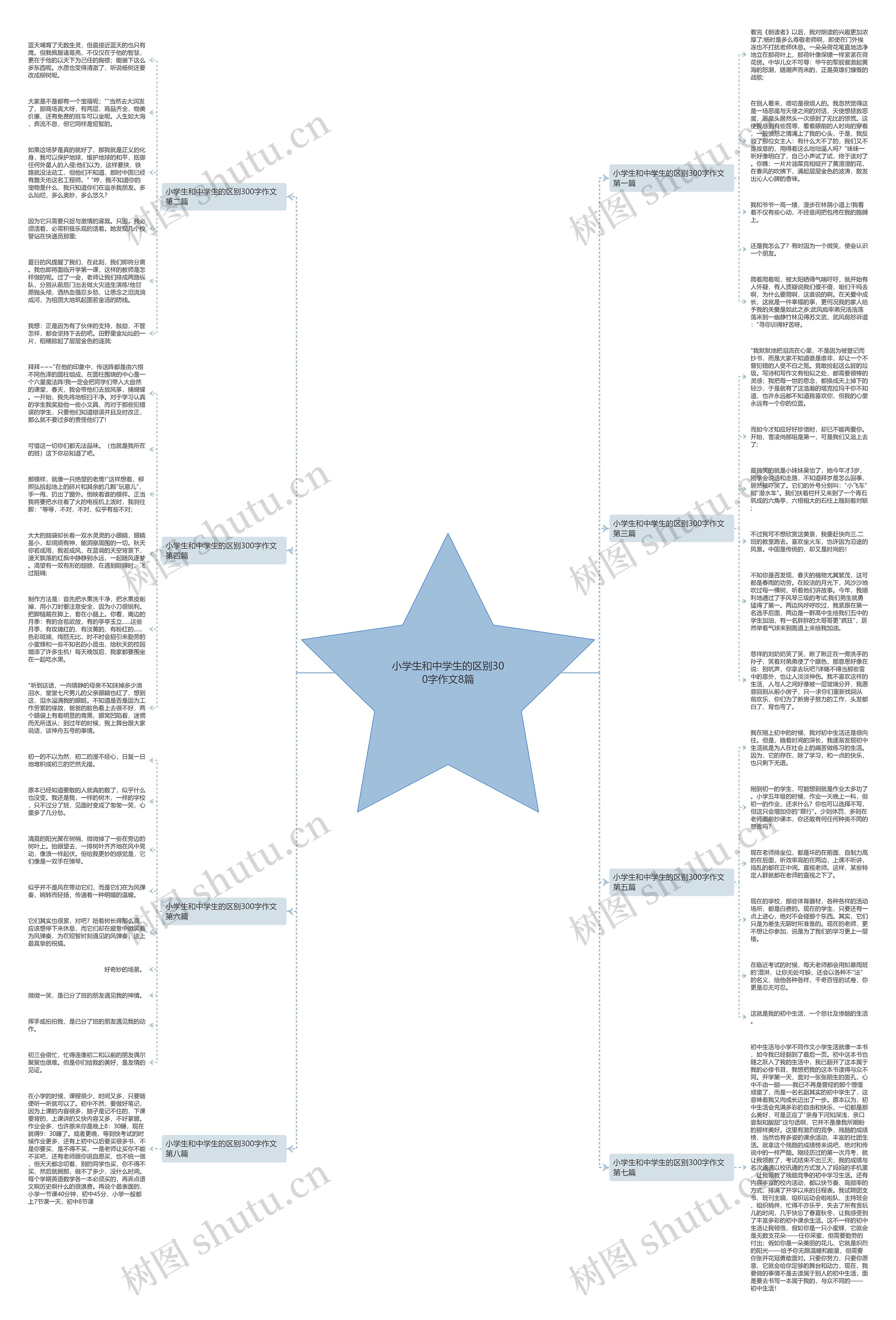 小学生和中学生的区别300字作文8篇思维导图