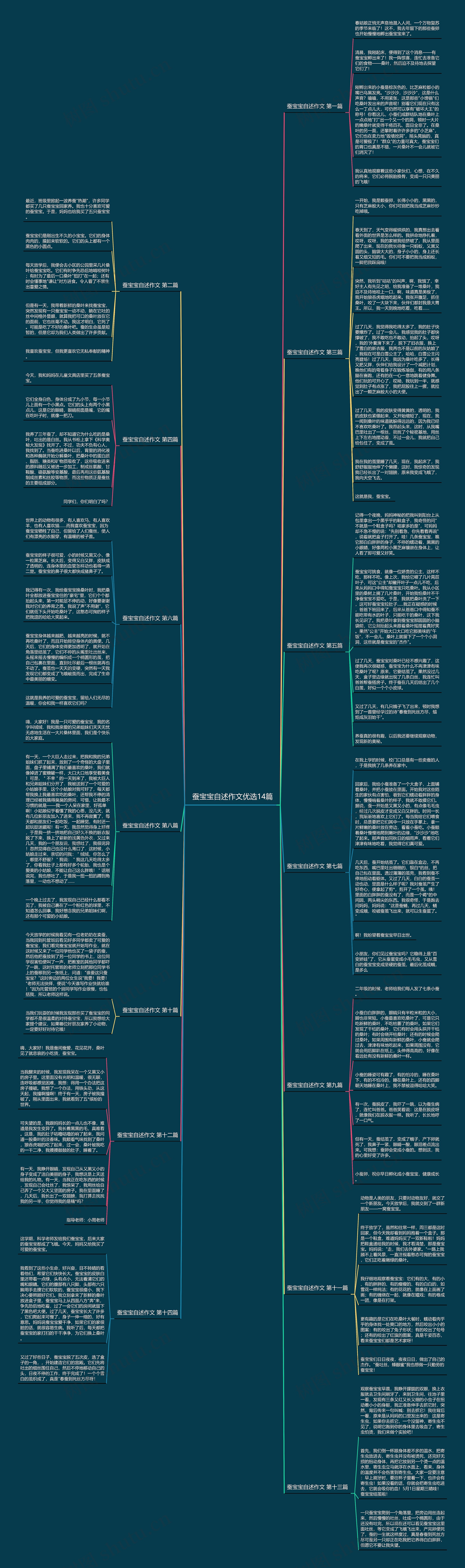 蚕宝宝自述作文优选14篇思维导图