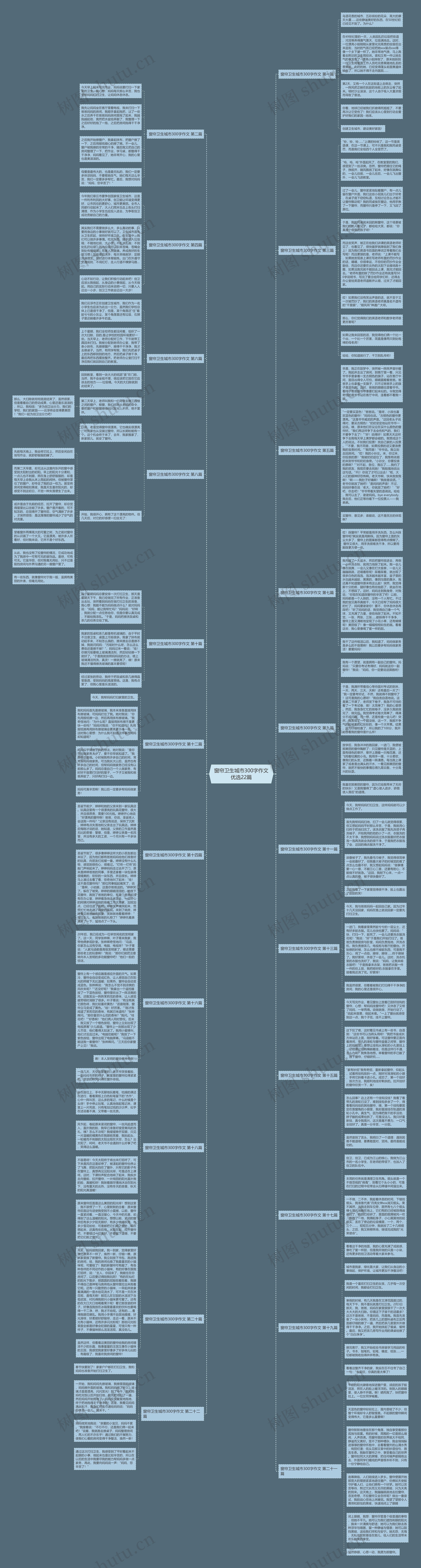 窗帘卫生城市300字作文优选22篇思维导图