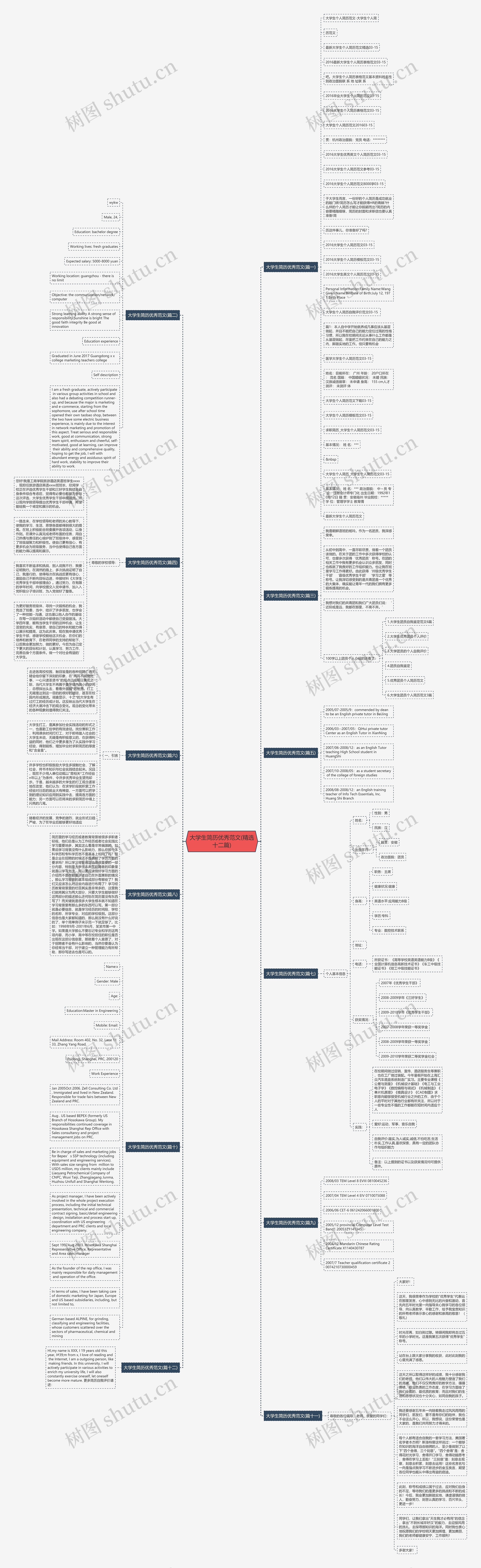 大学生简历优秀范文(精选十二篇)思维导图
