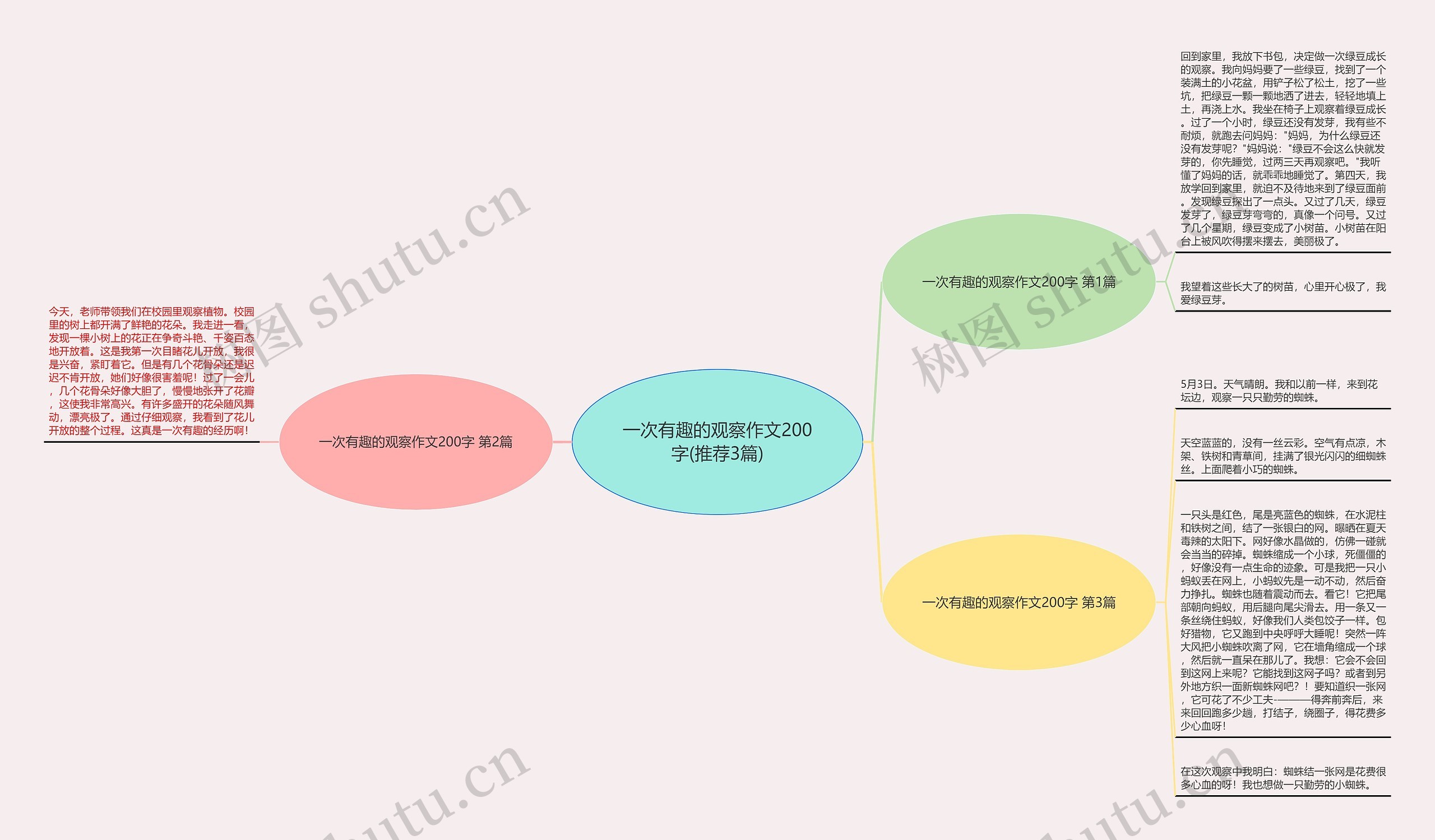 一次有趣的观察作文200字(推荐3篇)