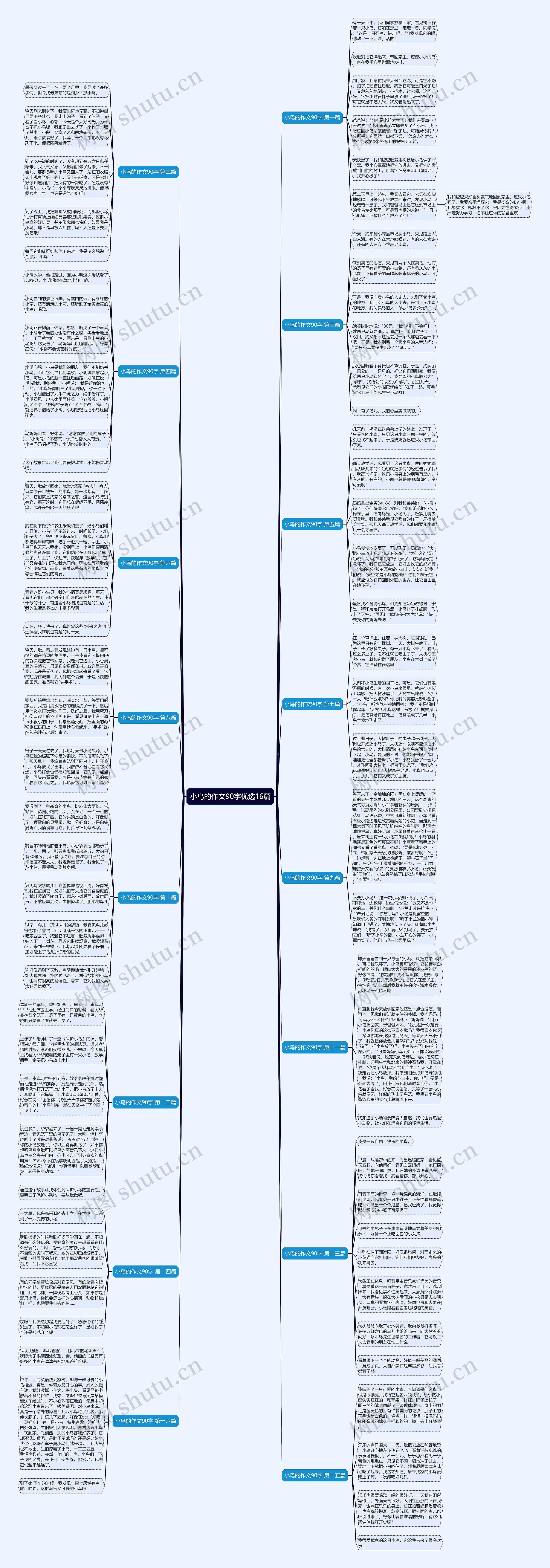 小鸟的作文90字优选16篇思维导图