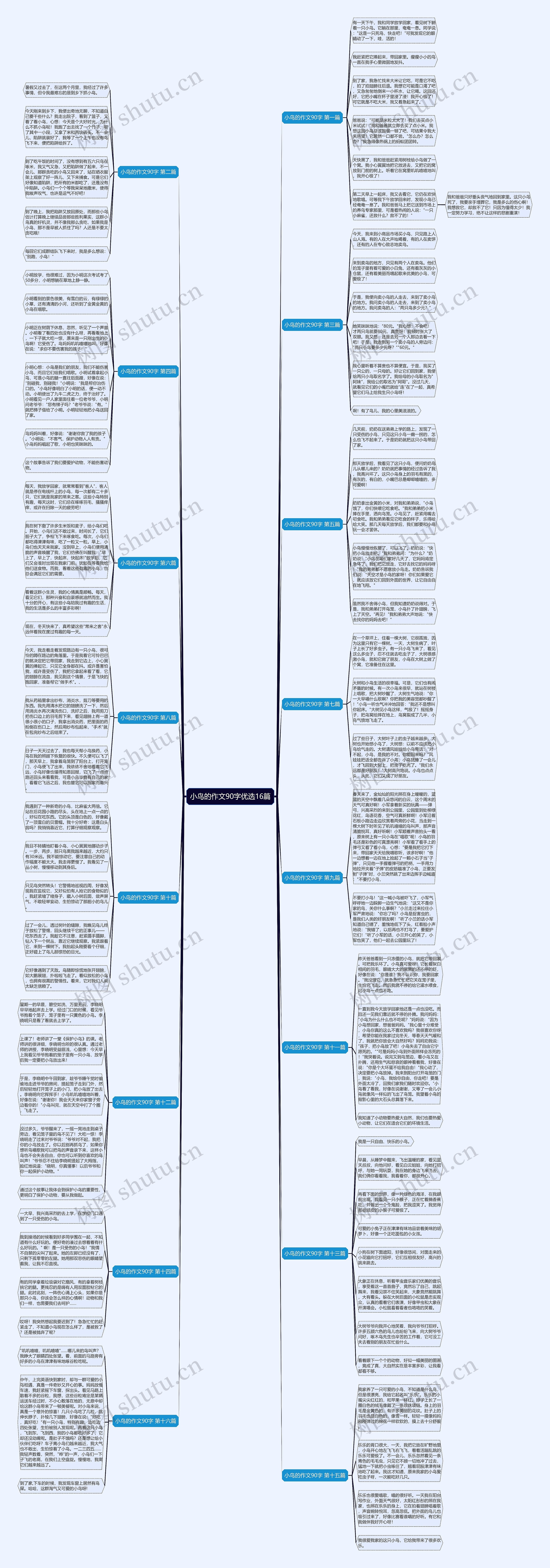 小鸟的作文90字优选16篇 小鸟的作文90字优选16篇