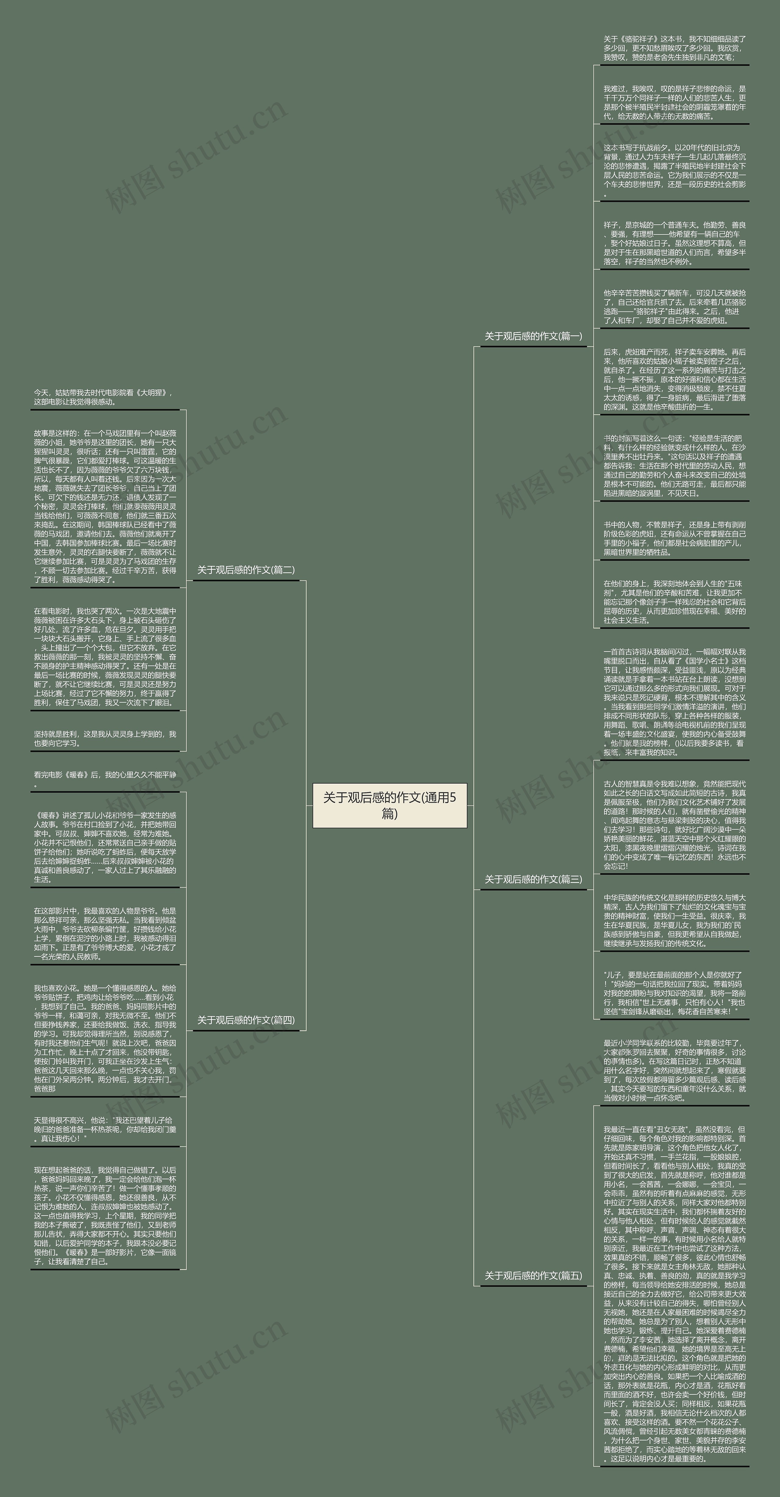 关于观后感的作文(通用5篇)思维导图