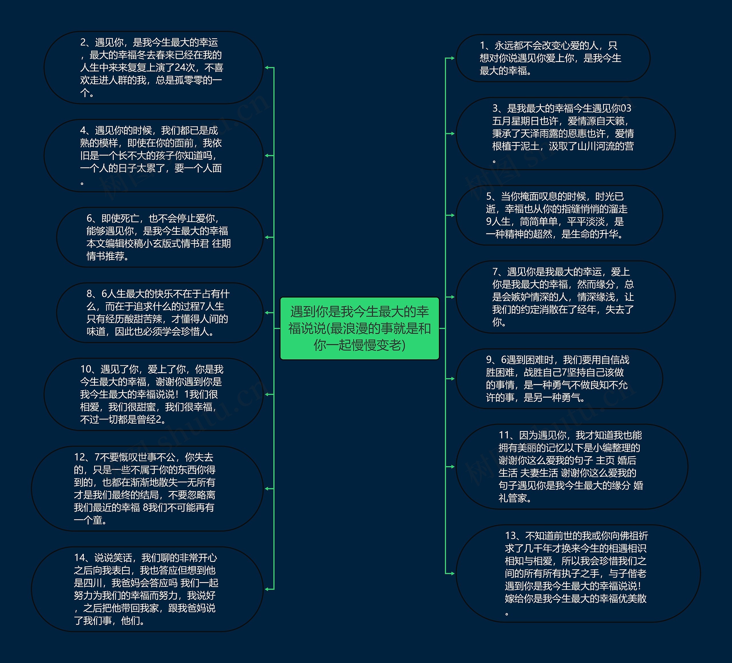 遇到你是我今生最大的幸福说说(最浪漫的事就是和你一起慢慢变老)思维导图