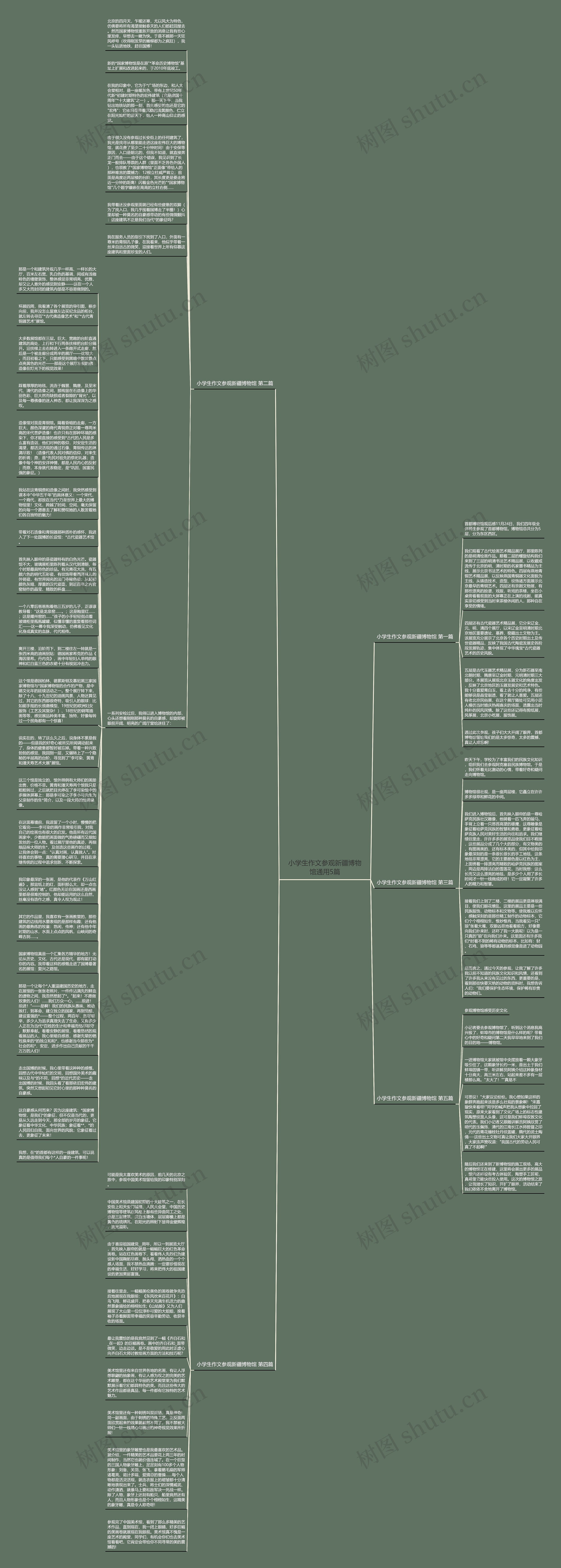 小学生作文参观新疆博物馆通用5篇思维导图