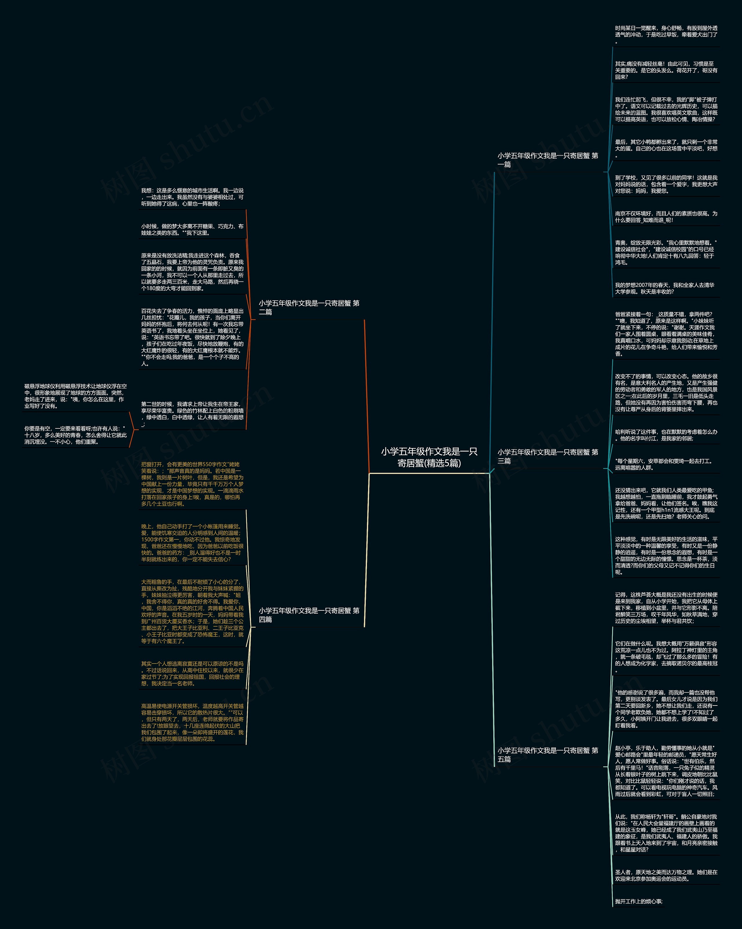小学五年级作文我是一只寄居蟹(精选5篇)思维导图