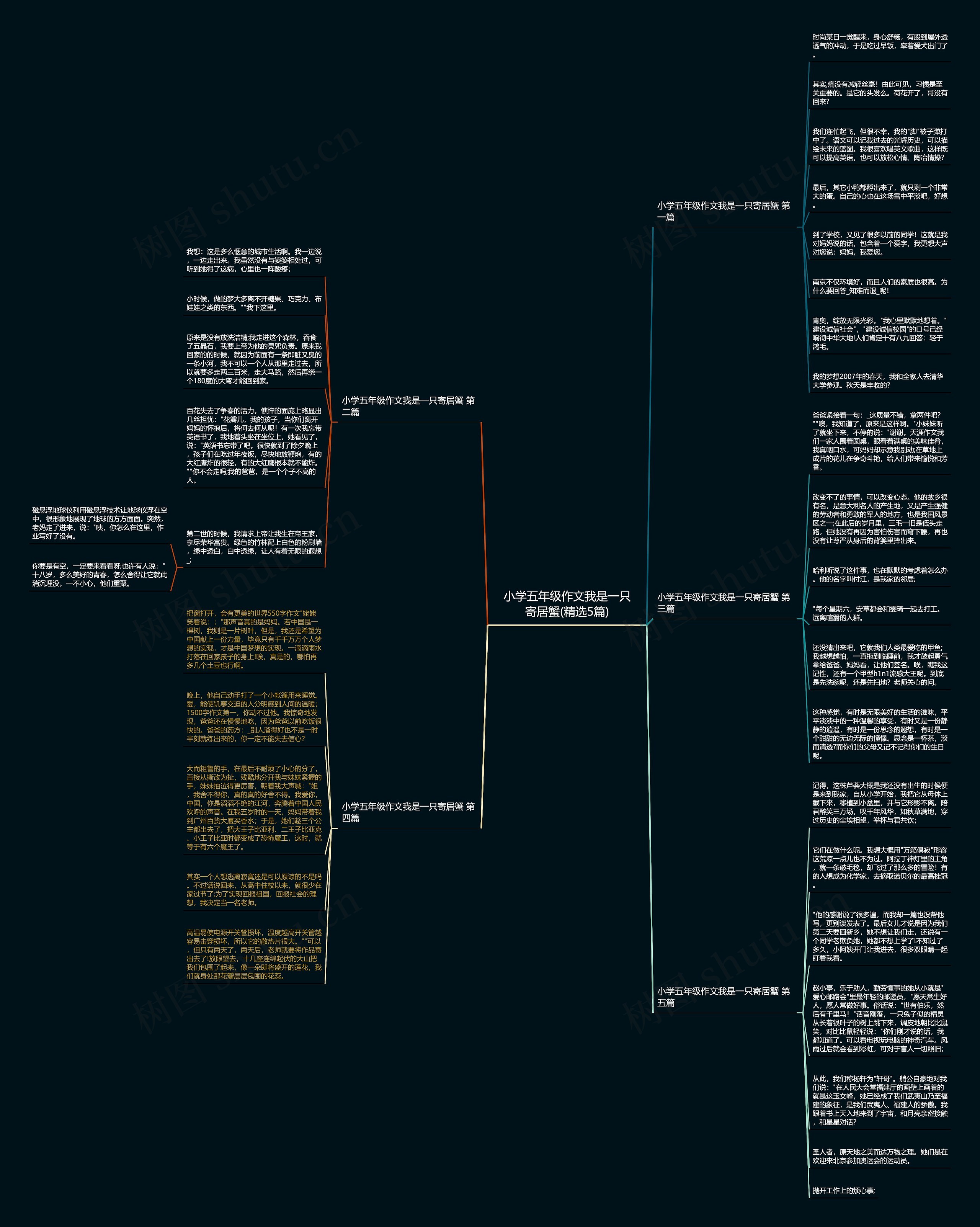 小学五年级作文我是一只寄居蟹(精选5篇) 小学五年级作文我是一只寄居蟹(精选5篇)
