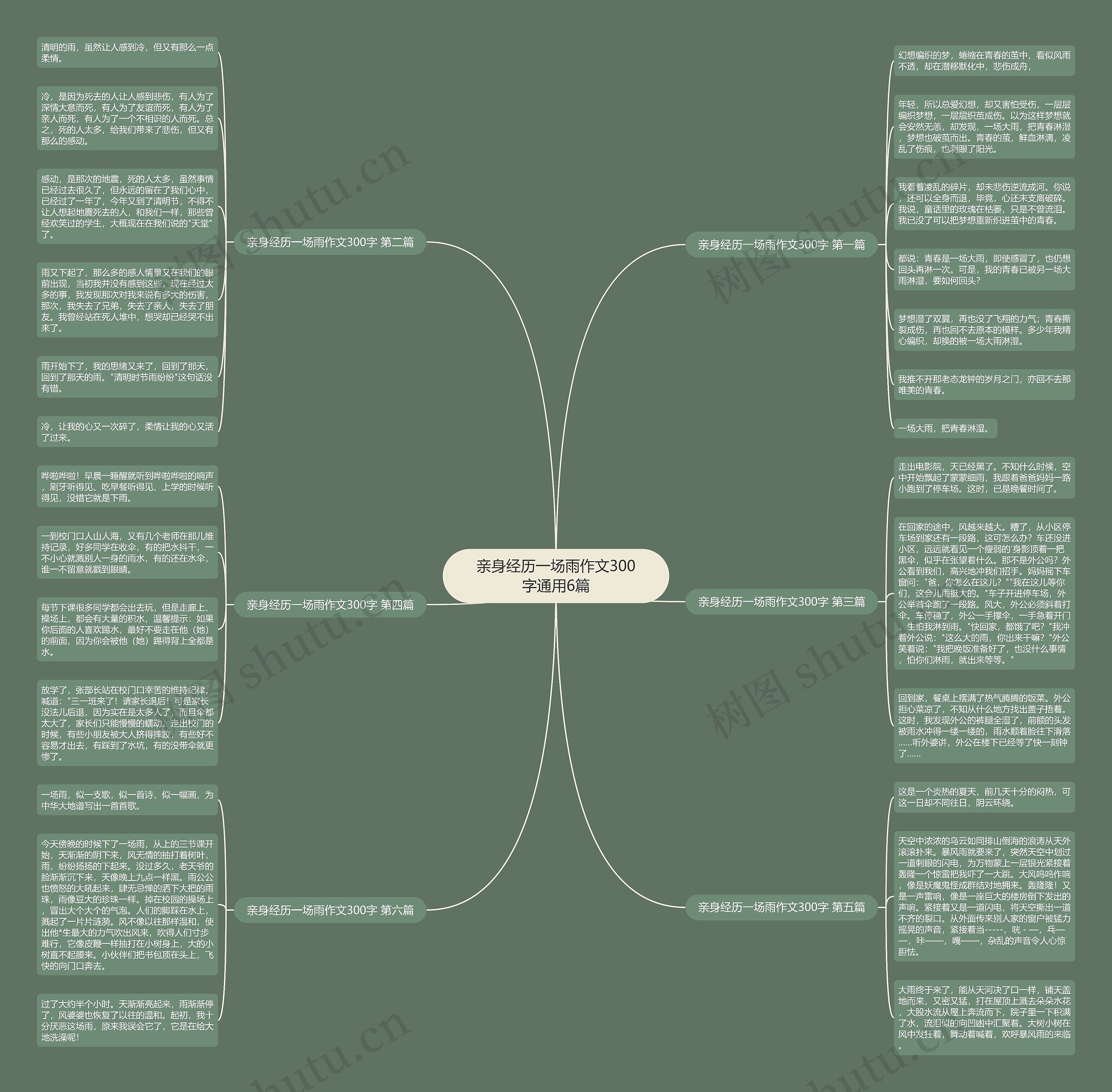 亲身经历一场雨作文300字通用6篇思维导图