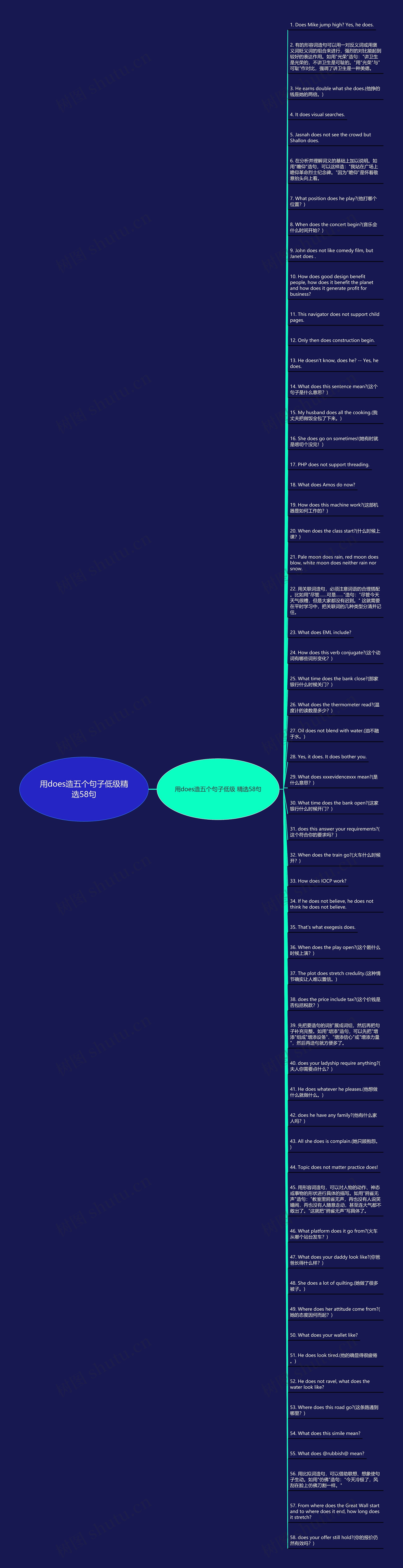 用does造五个句子低级精选58句