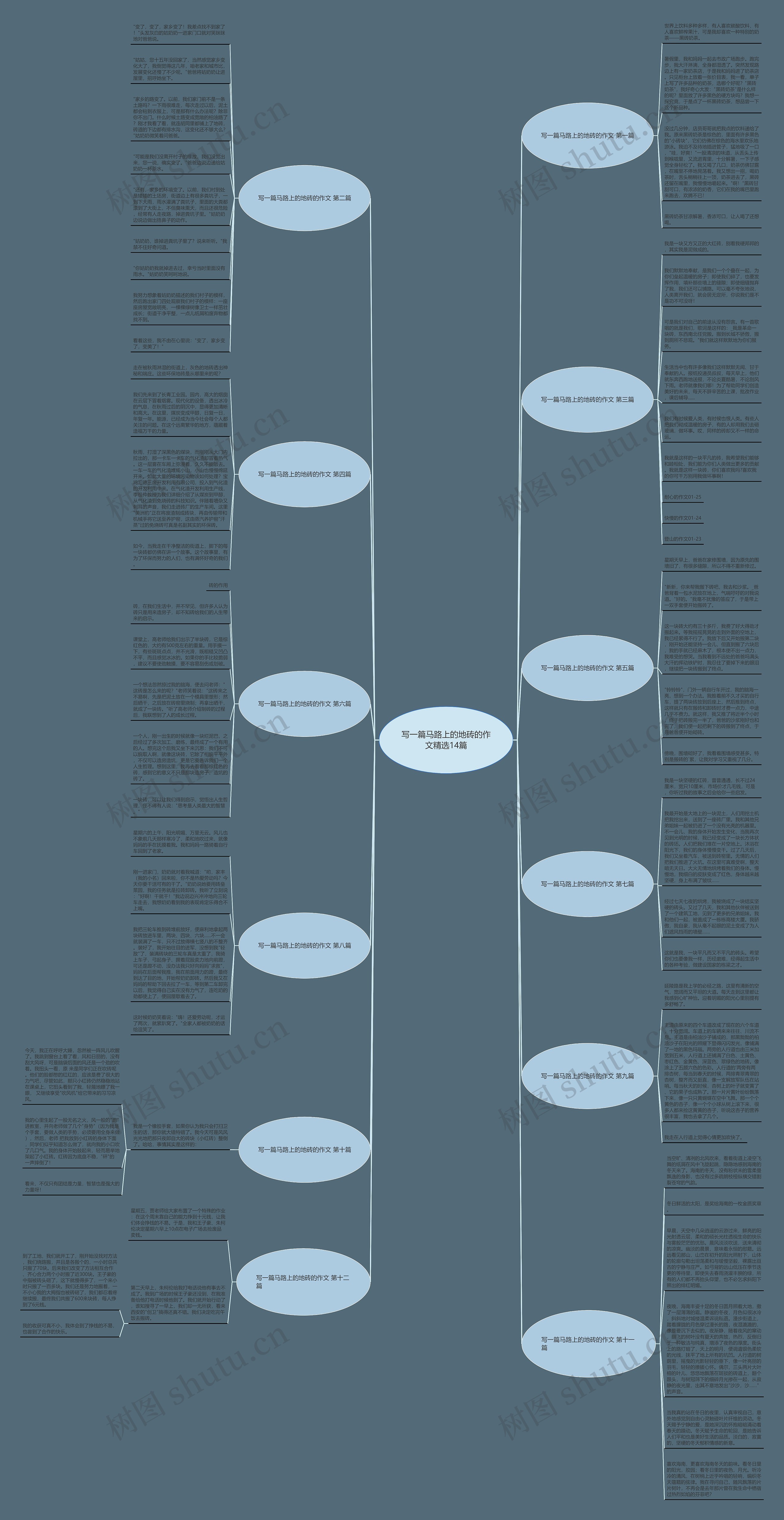 写一篇马路上的地砖的作文精选14篇思维导图