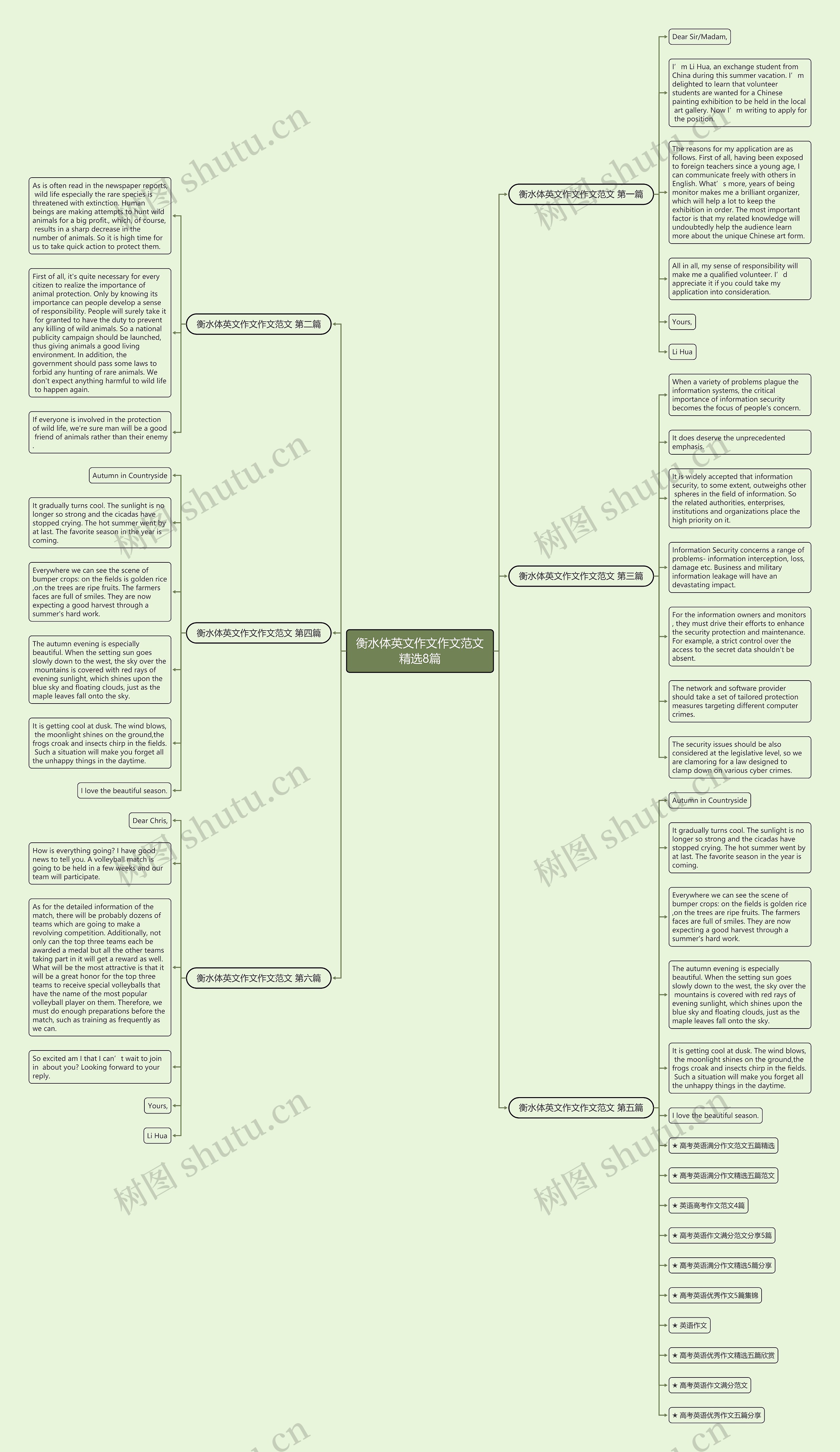 衡水体英文作文作文范文精选8篇思维导图