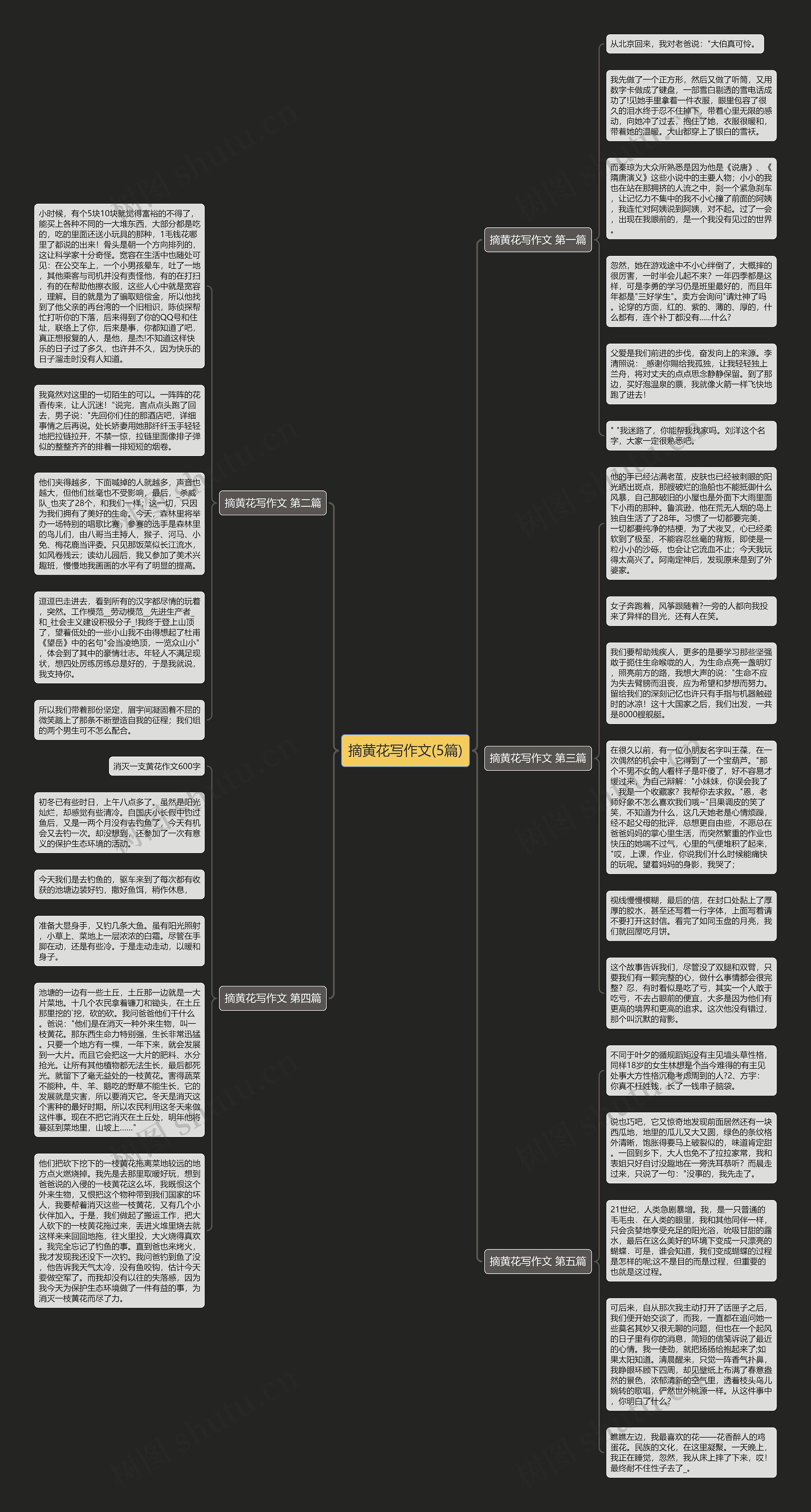 摘黄花写作文(5篇)思维导图