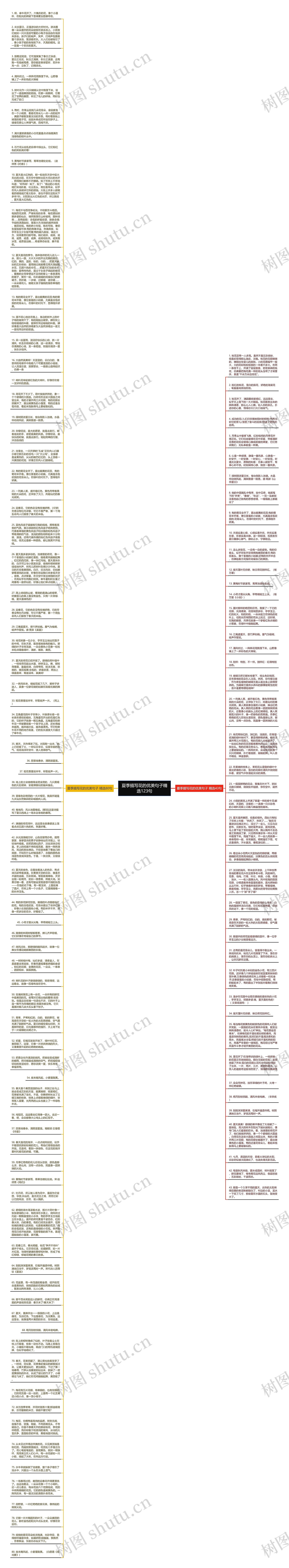 夏季描写花的优美句子精选123句思维导图