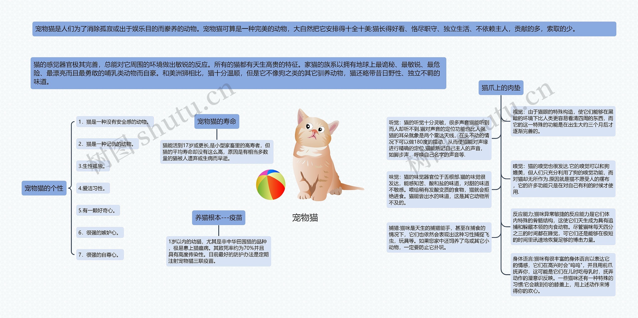 宠物猫思维导图