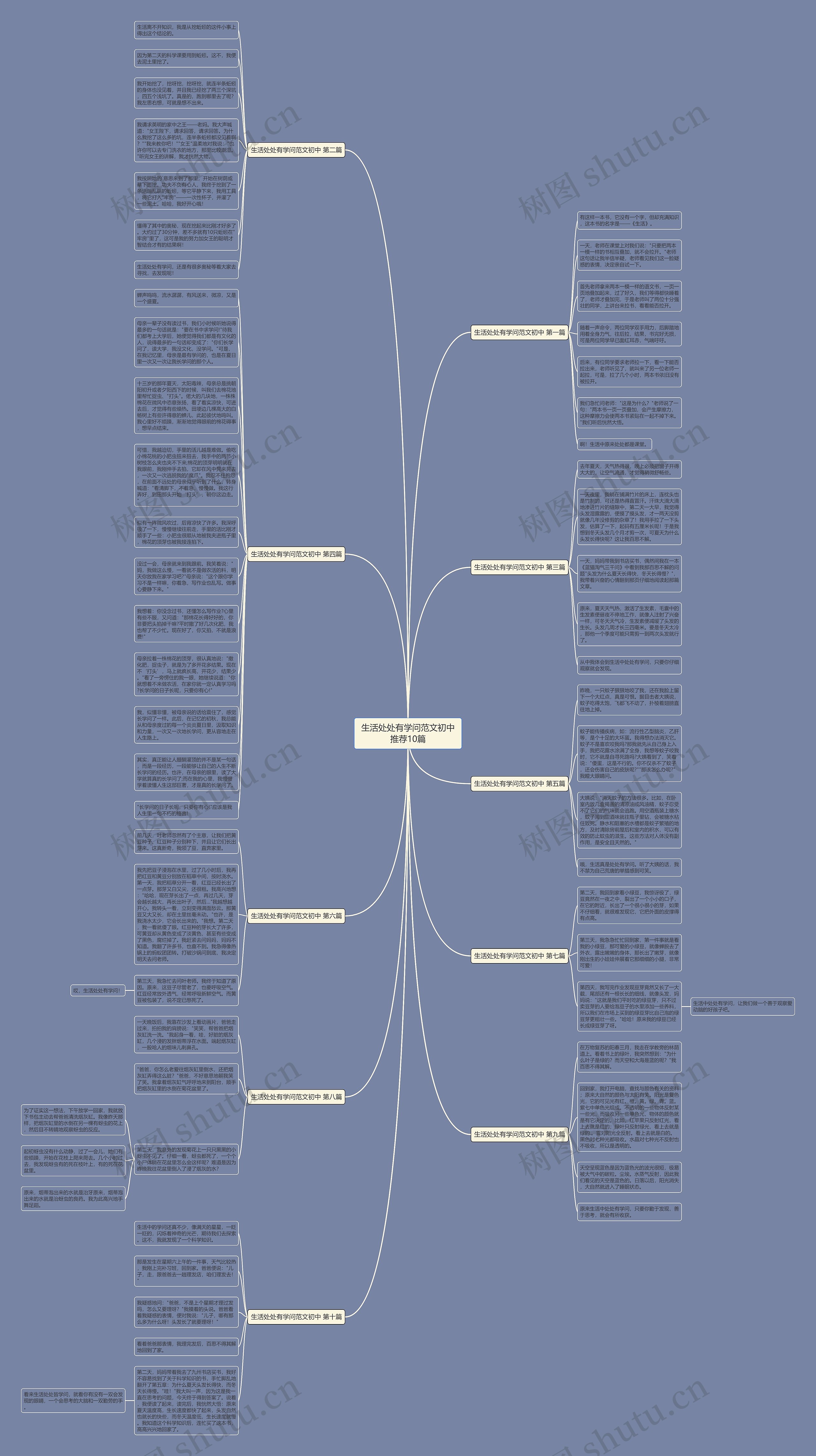 生活处处有学问范文初中推荐10篇思维导图