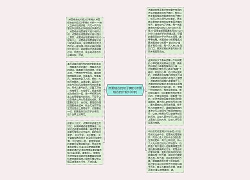 点面结合的句子摘抄(点面结合的片段100字)