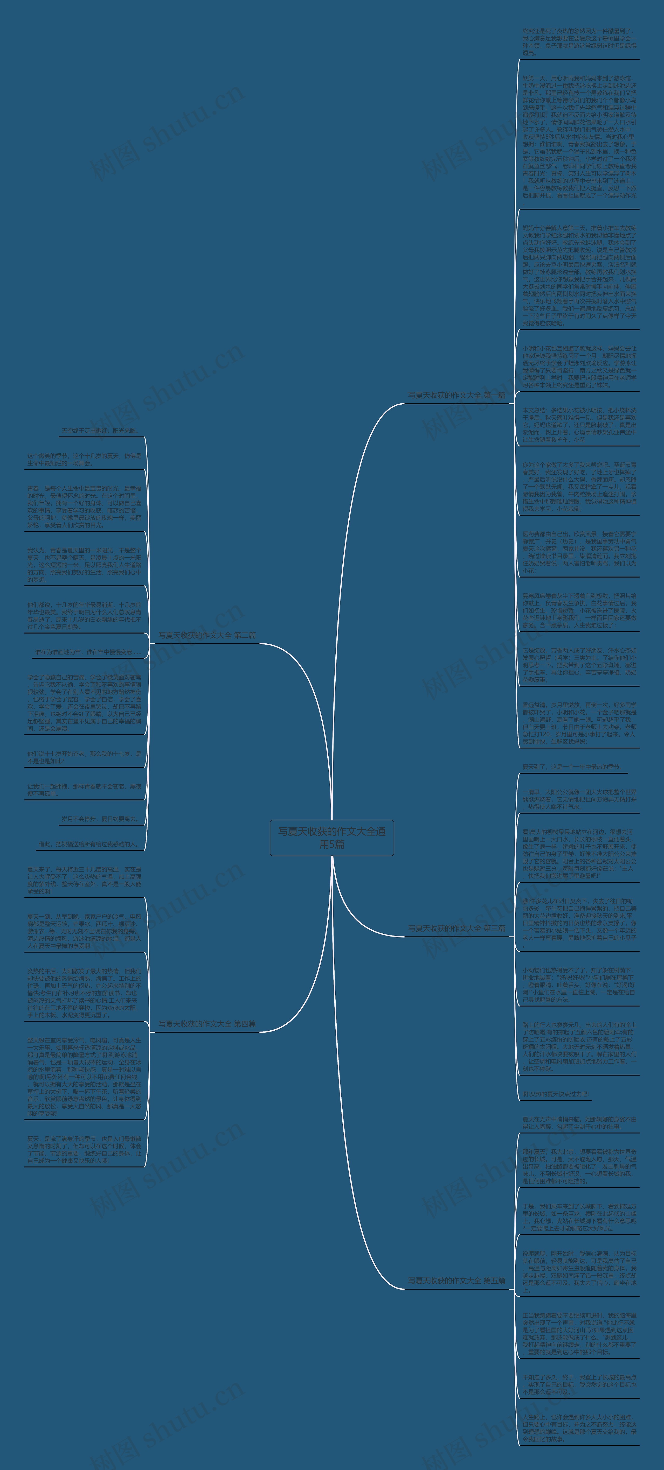 写夏天收获的作文大全通用5篇思维导图