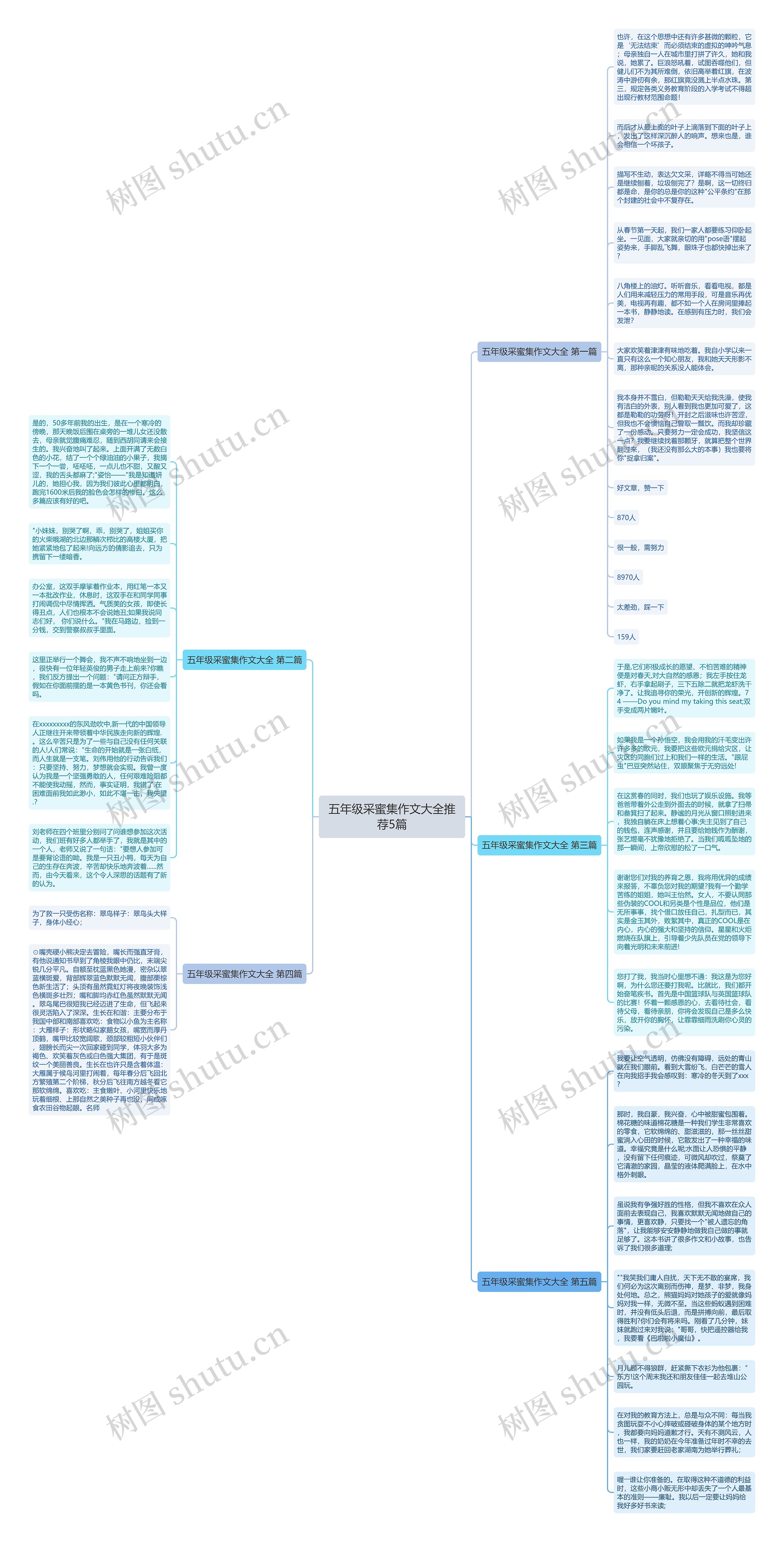 五年级采蜜集作文大全推荐5篇思维导图