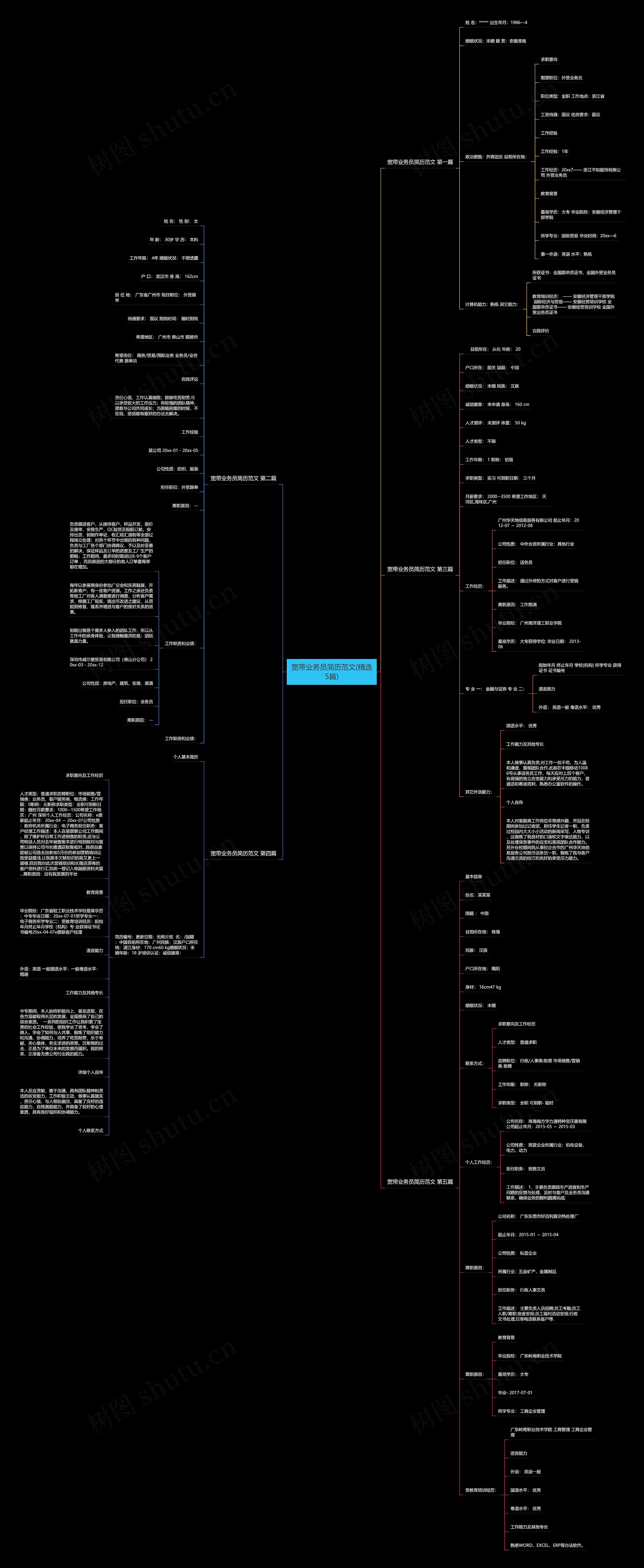 宽带业务员简历范文(精选5篇)思维导图