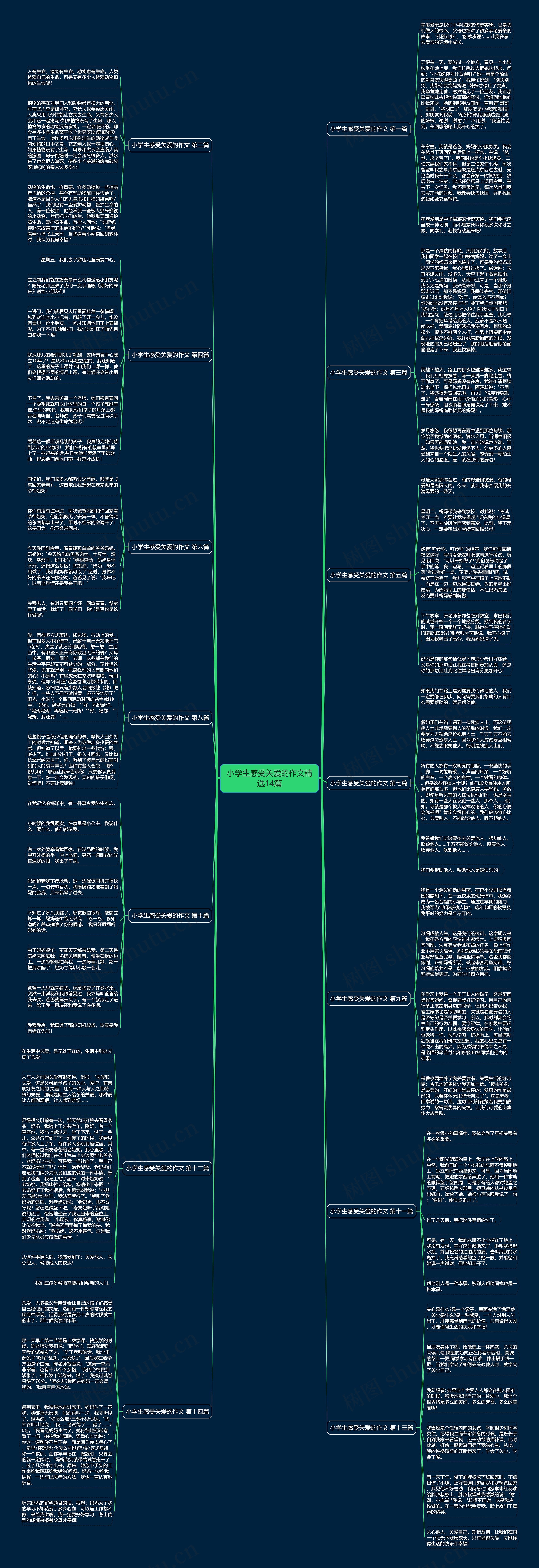 小学生感受关爱的作文精选14篇 小学生感受关爱的作文精选14篇