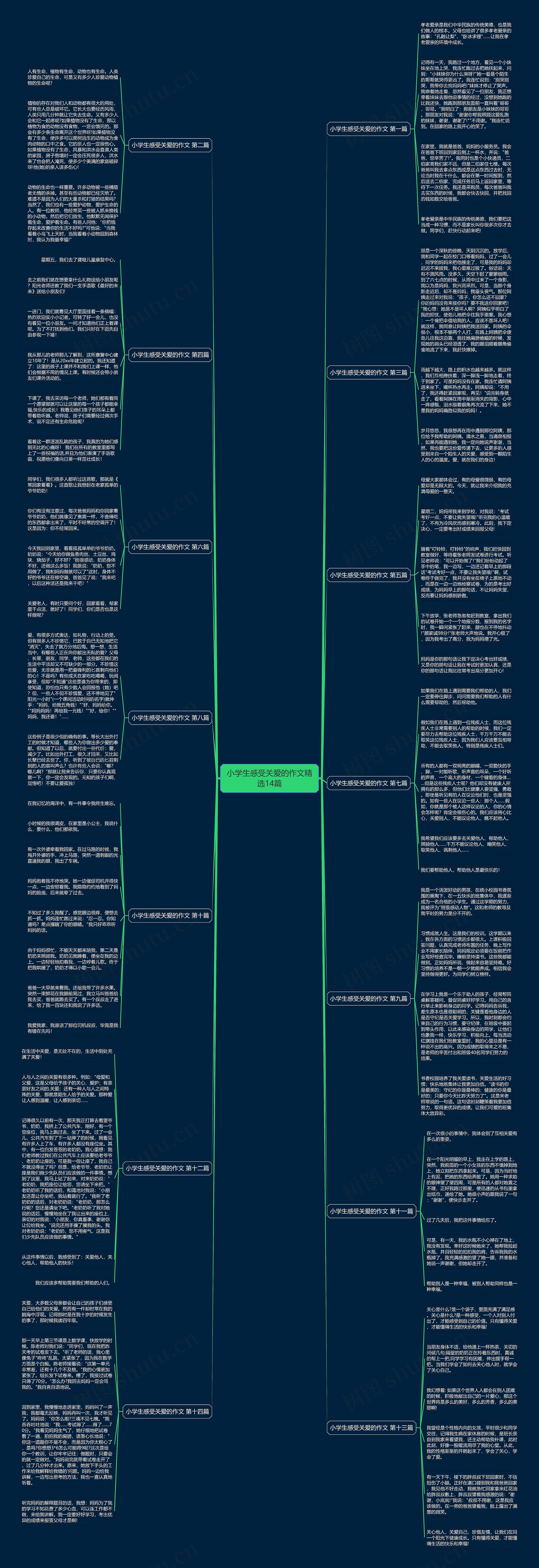 小学生感受关爱的作文精选14篇思维导图