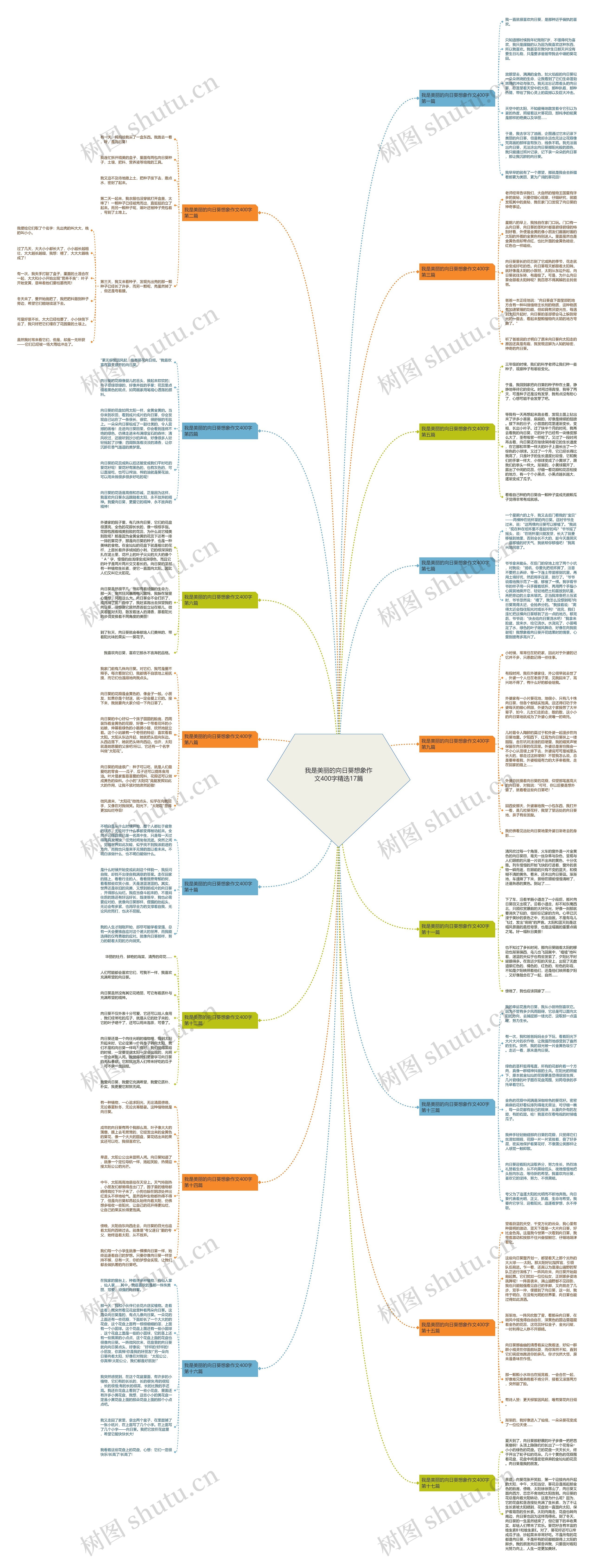我是美丽的向日葵想象作文400字精选17篇 我是美丽的向日葵想象作文400字精选17篇