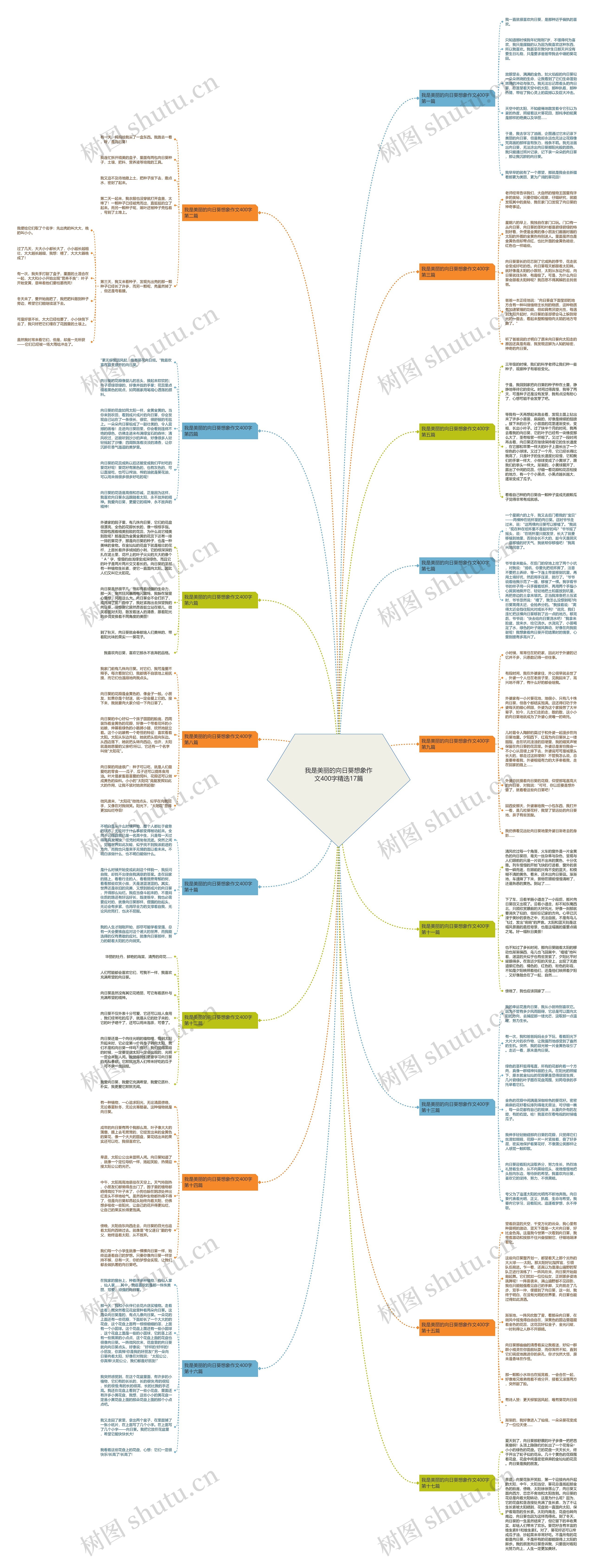 我是美丽的向日葵想象作文400字精选17篇思维导图