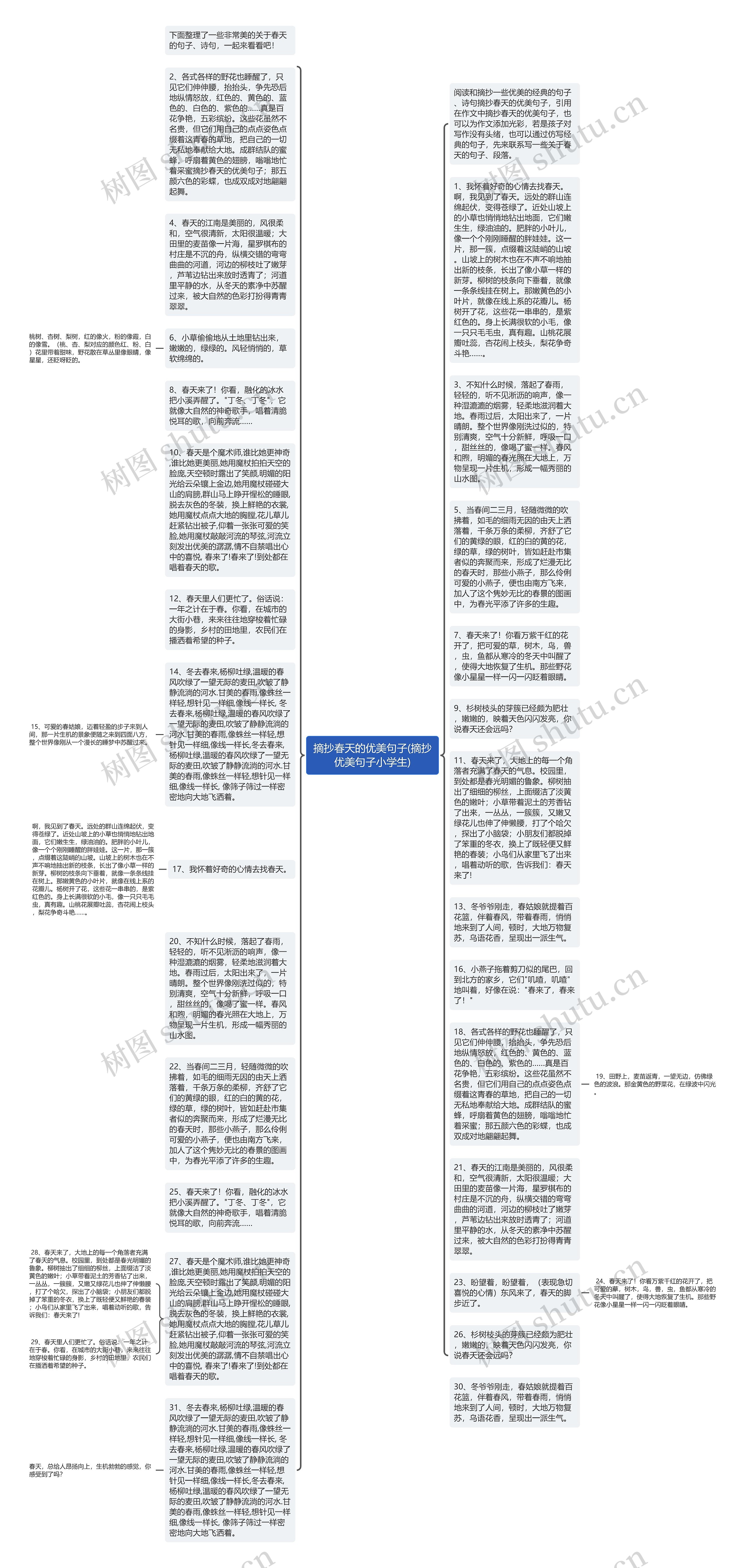 摘抄春天的优美句子(摘抄优美句子小学生)思维导图