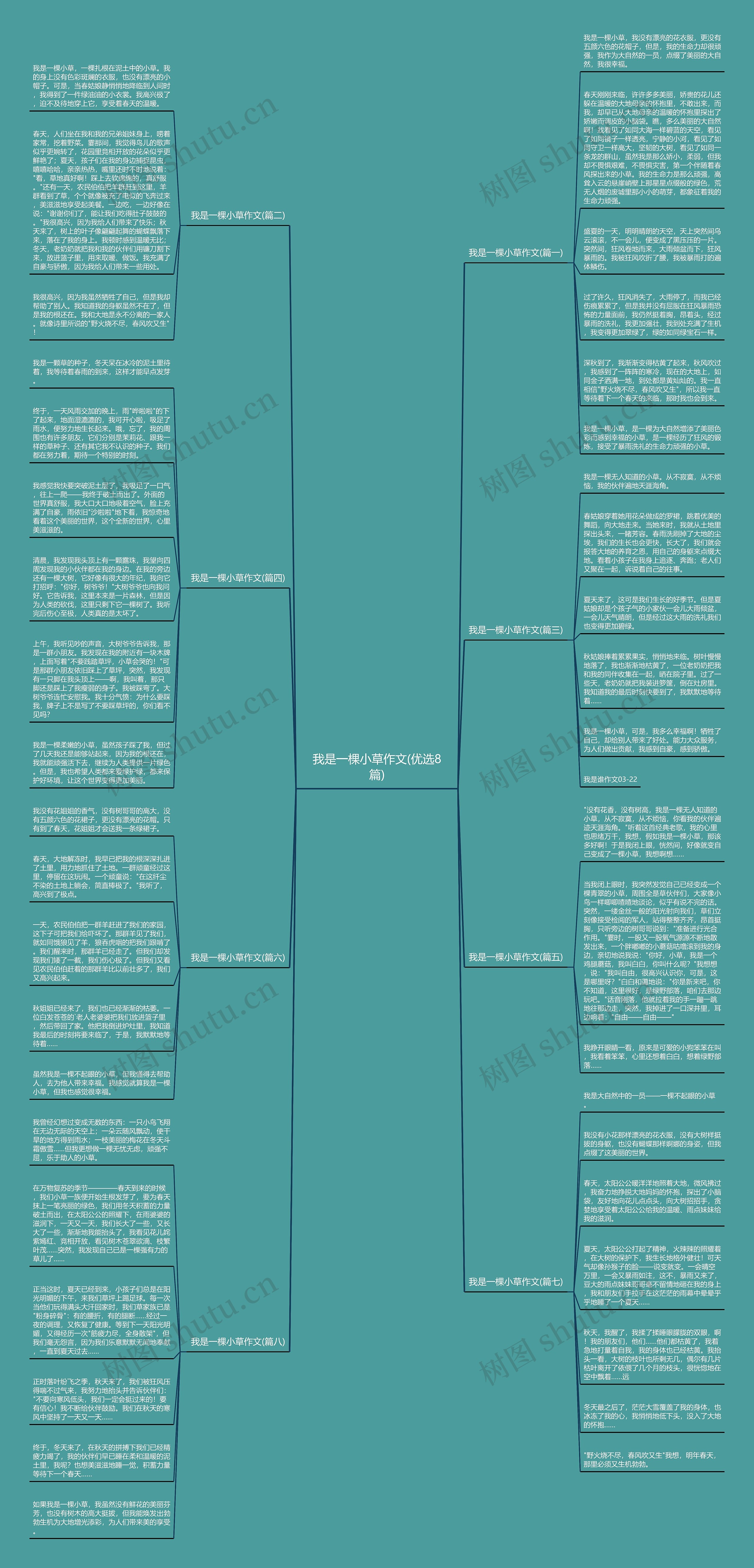 我是一棵小草作文(优选8篇)思维导图