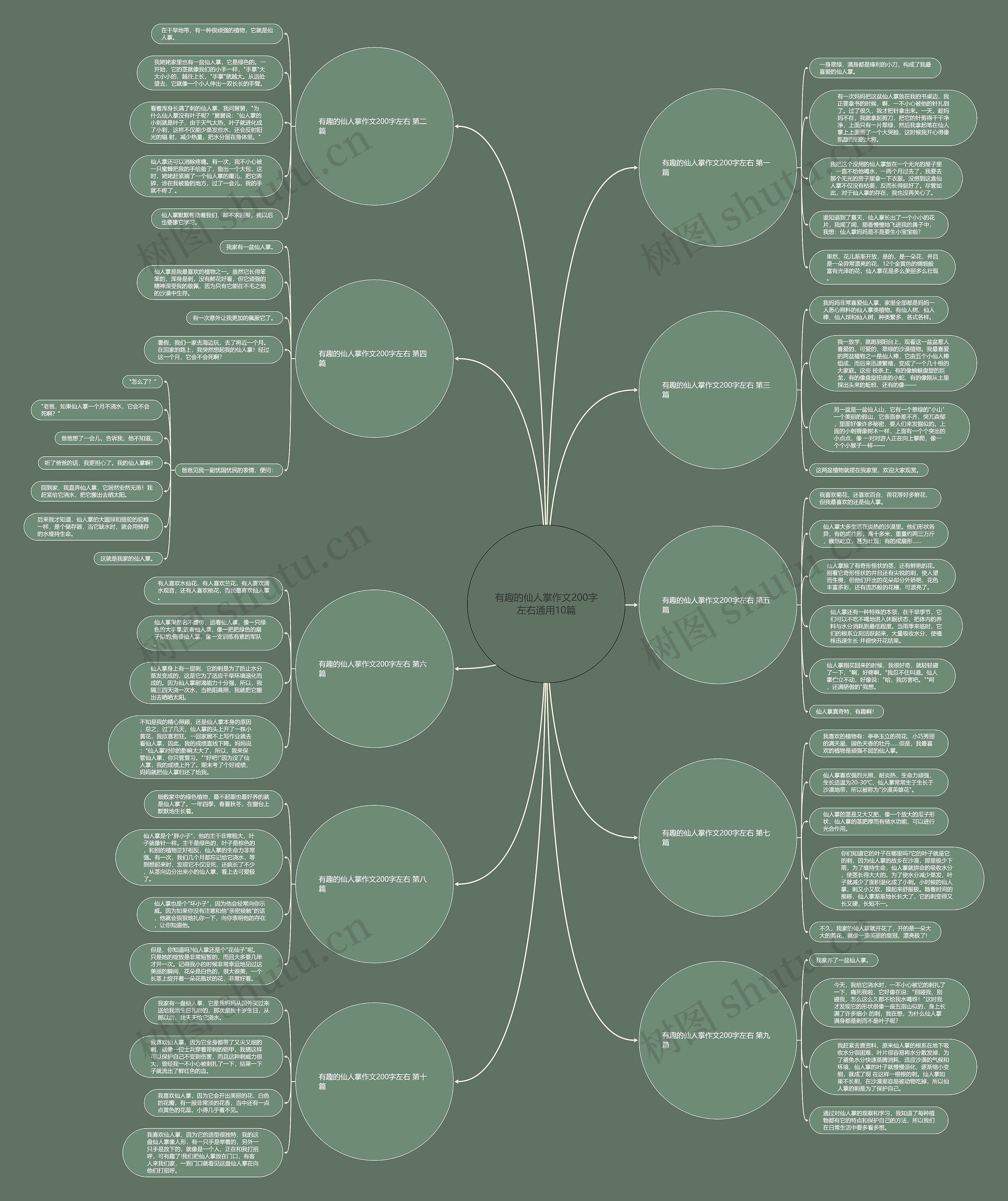 有趣的仙人掌作文200字左右通用10篇思维导图