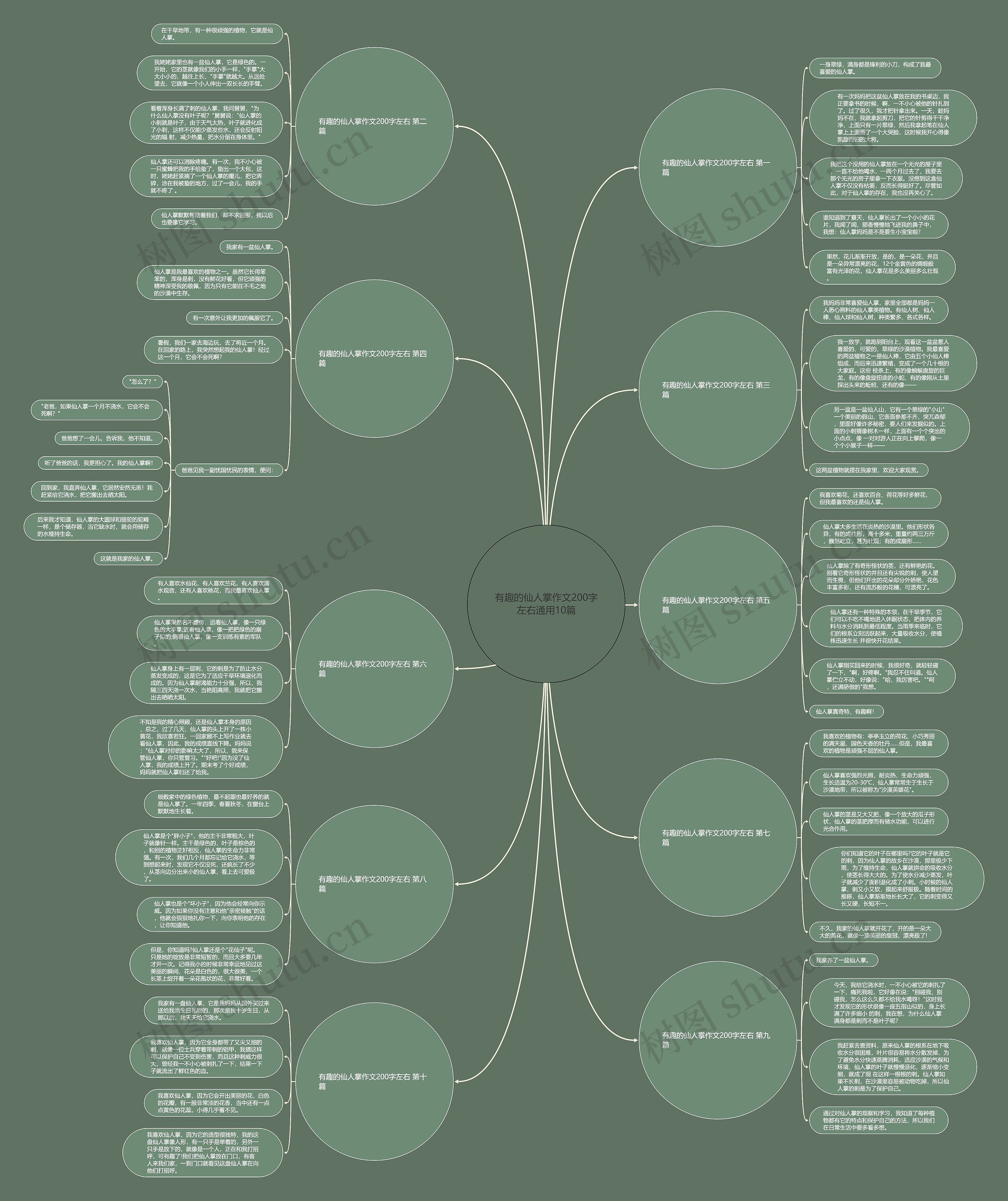 有趣的仙人掌作文200字左右通用10篇 有趣的仙人掌作文200字左右通用10篇