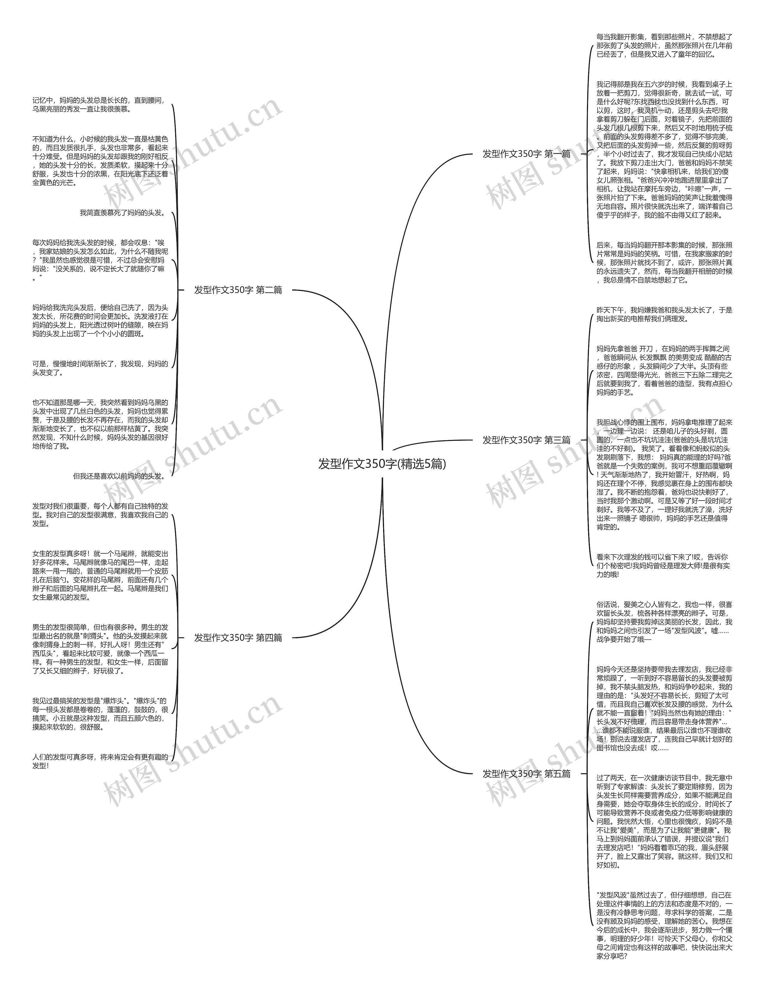 发型作文350字(精选5篇)