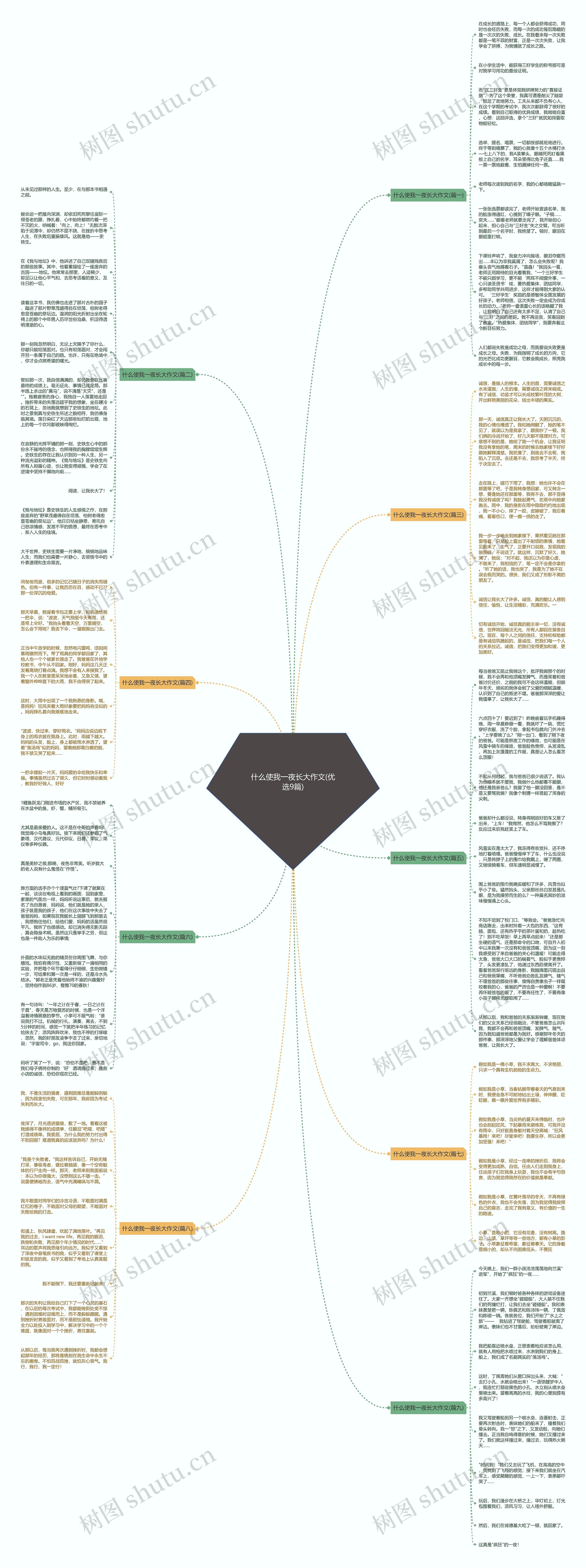 什么使我一夜长大作文(优选9篇)思维导图