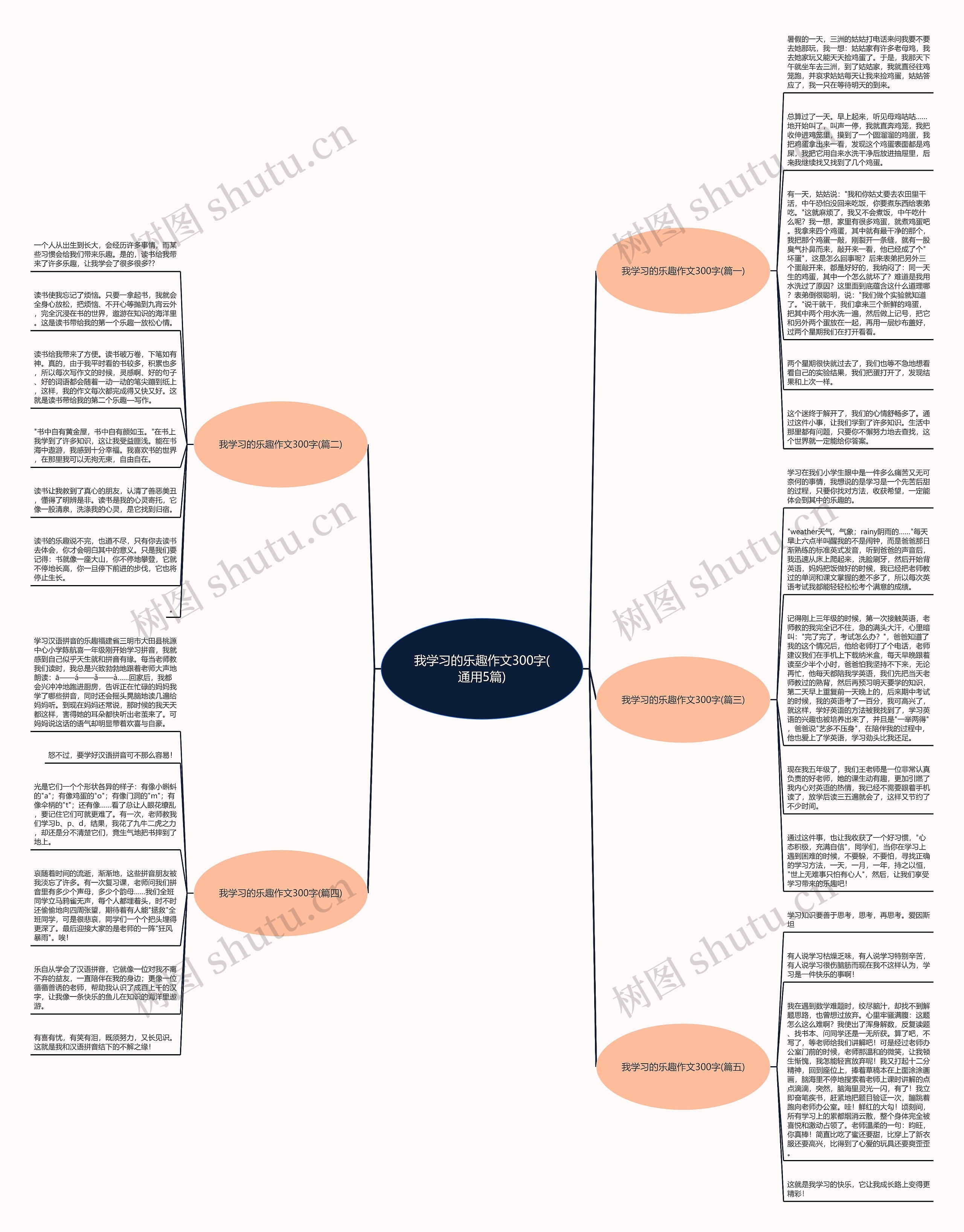 我学习的乐趣作文300字(通用5篇)思维导图