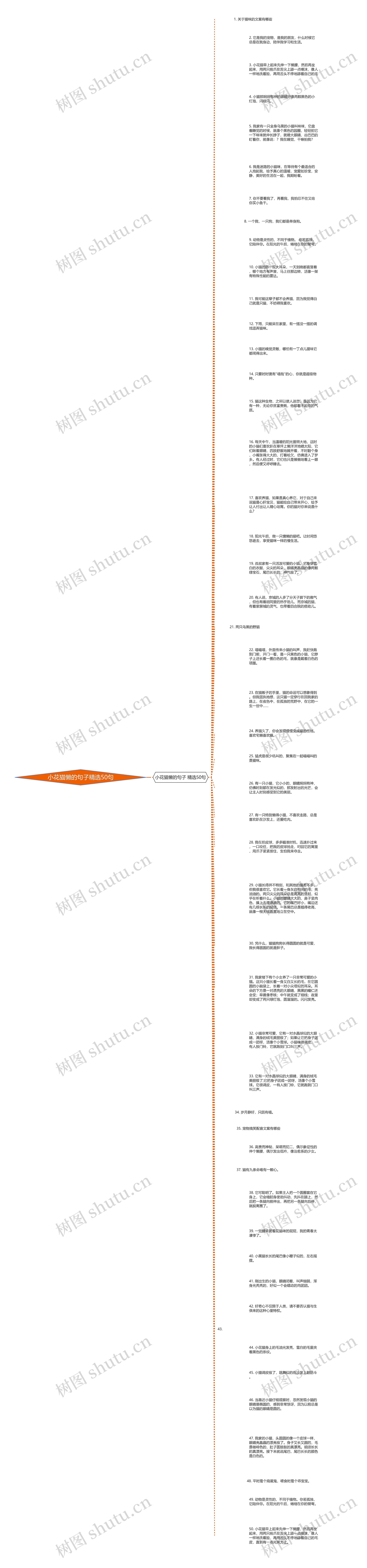 小花猫懒的句子精选50句思维导图