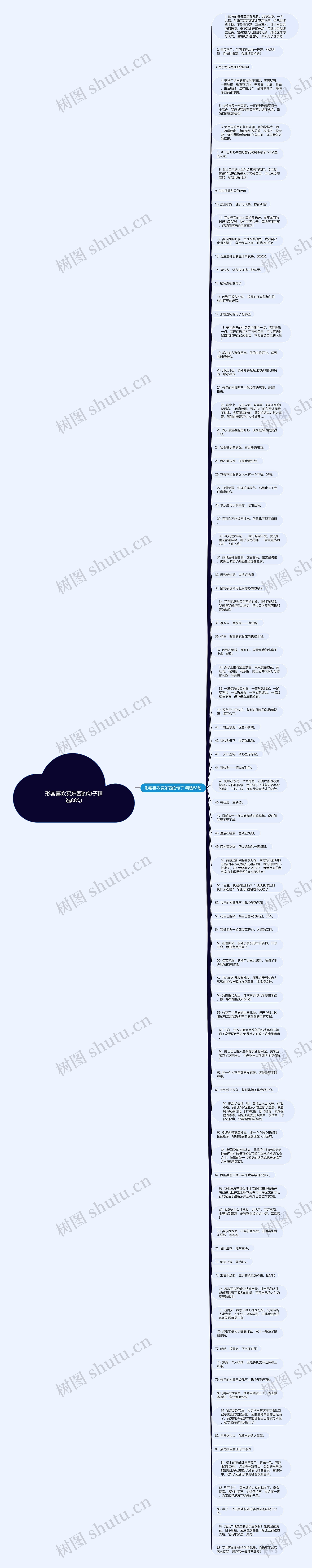 形容喜欢买东西的句子精选88句思维导图