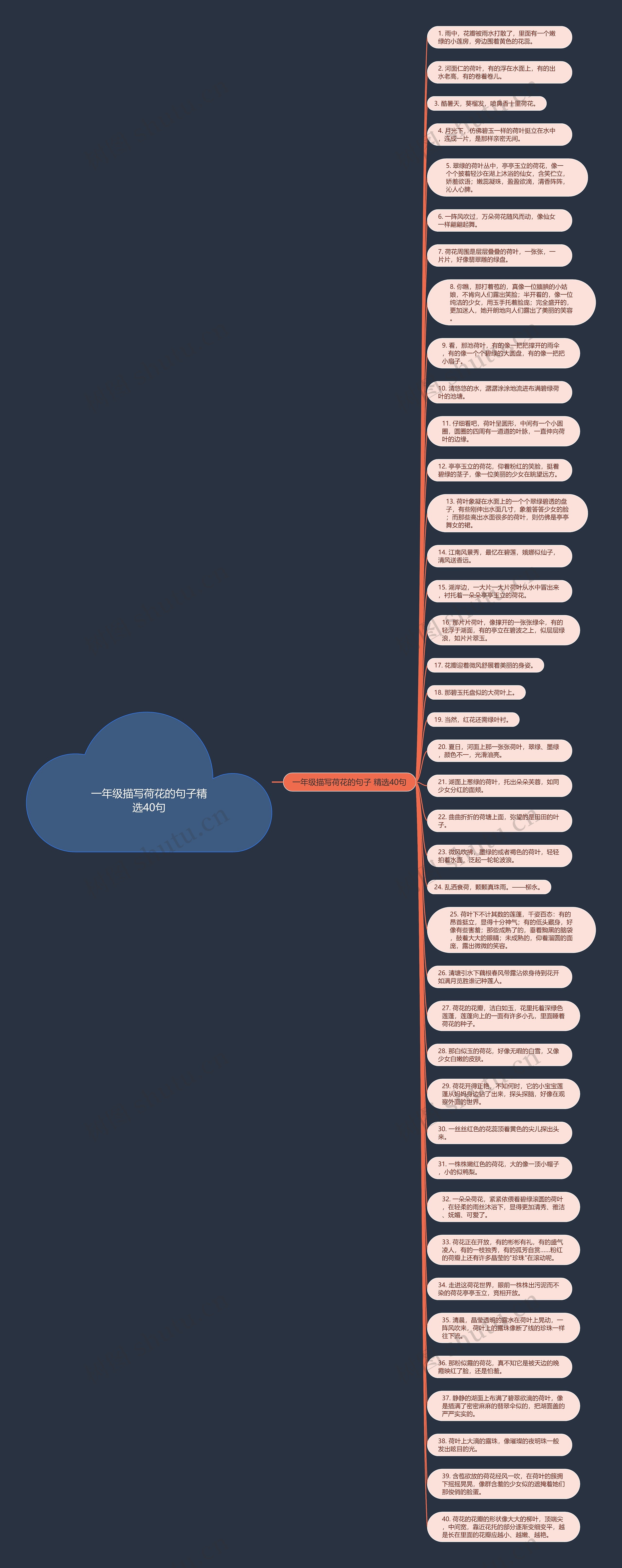 一年级描写荷花的句子精选40句思维导图