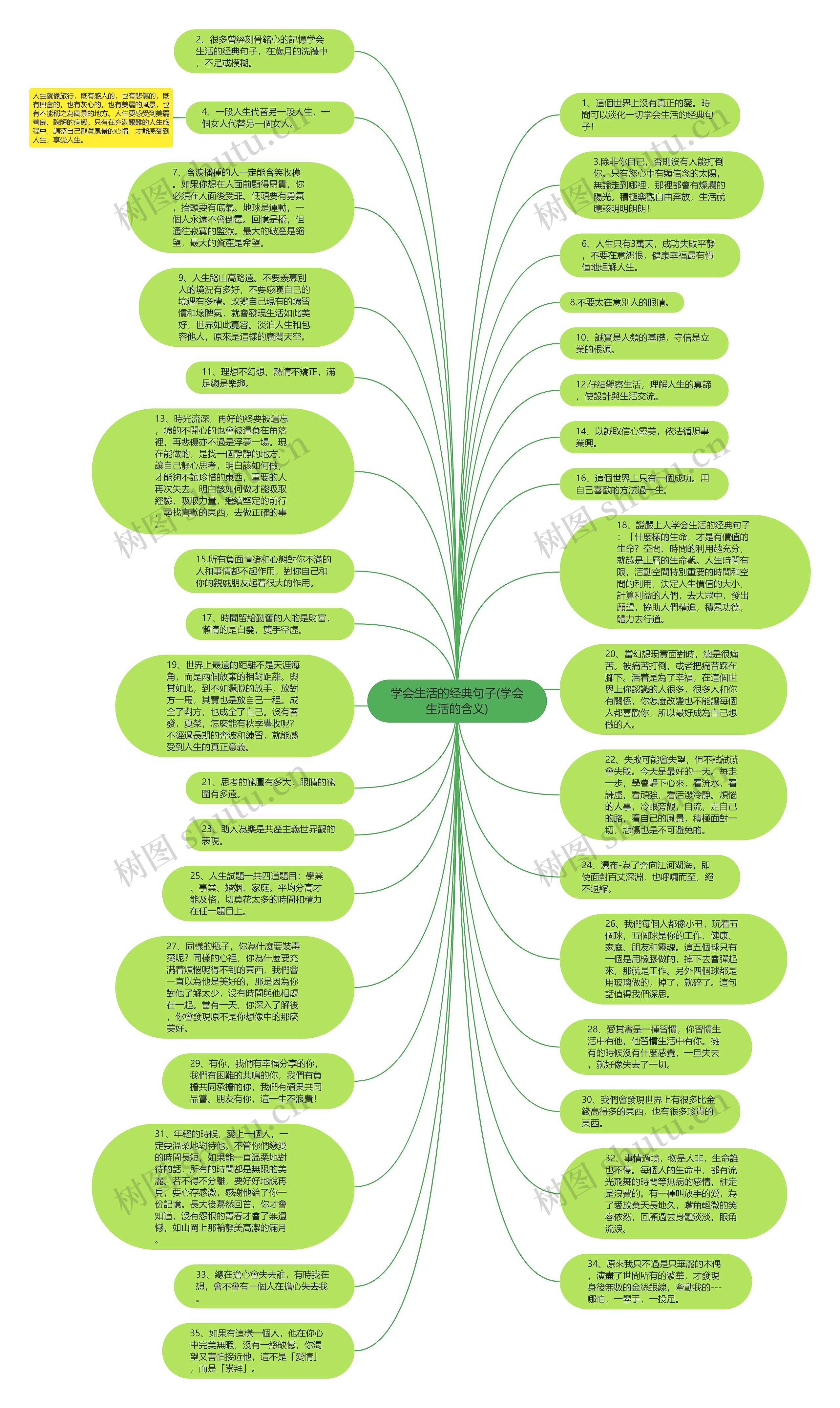 学会生活的经典句子(学会生活的含义)思维导图