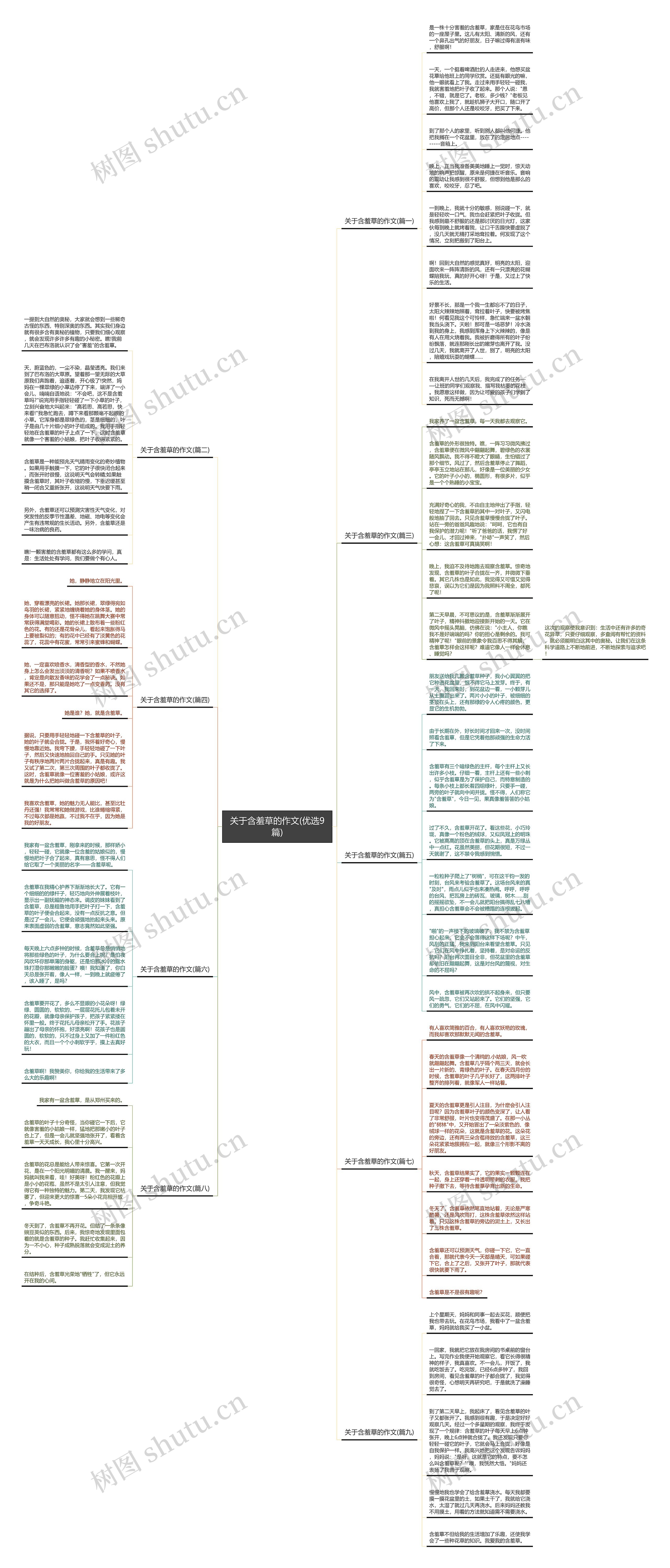 关于含羞草的作文(优选9篇)思维导图