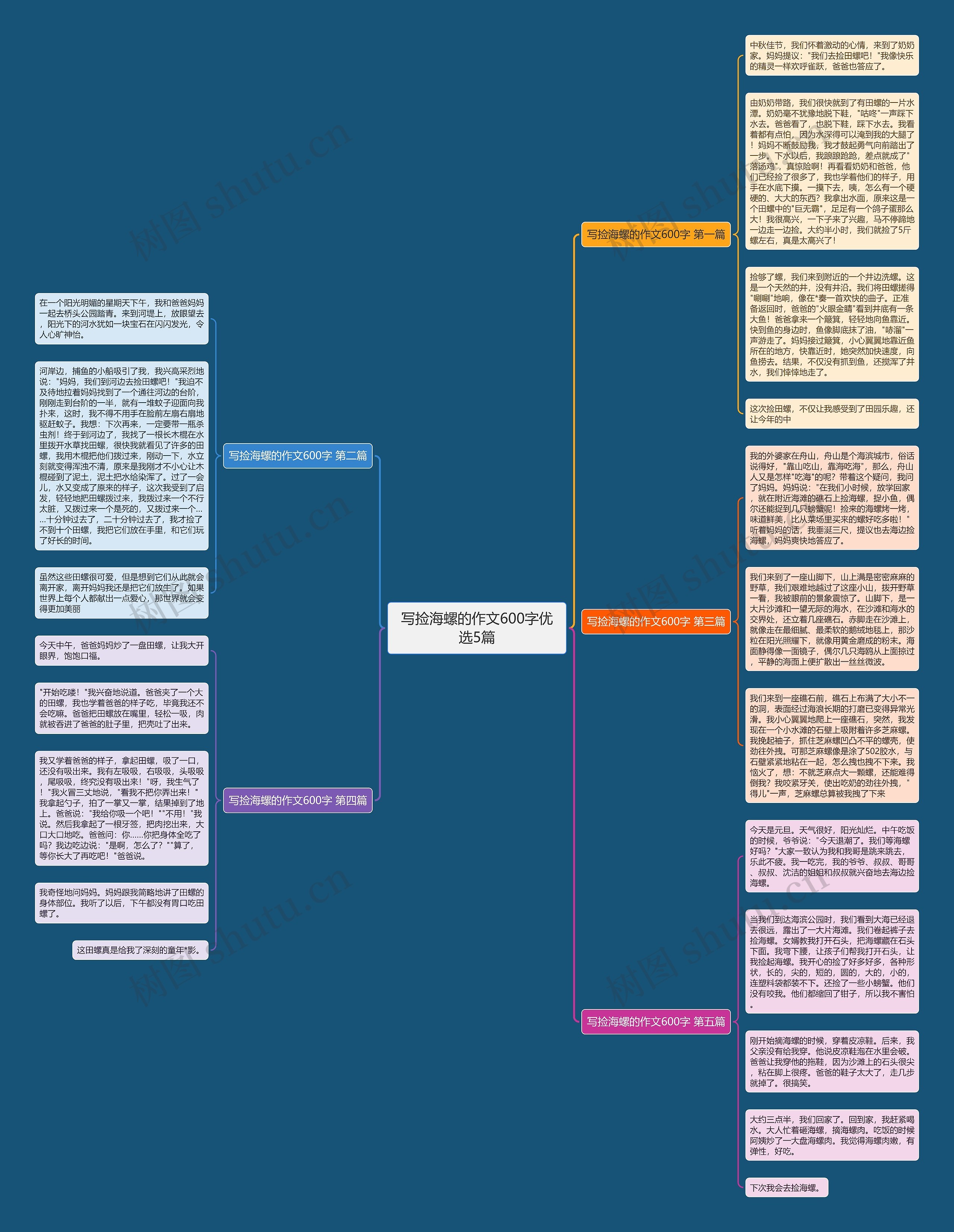 写捡海螺的作文600字优选5篇思维导图