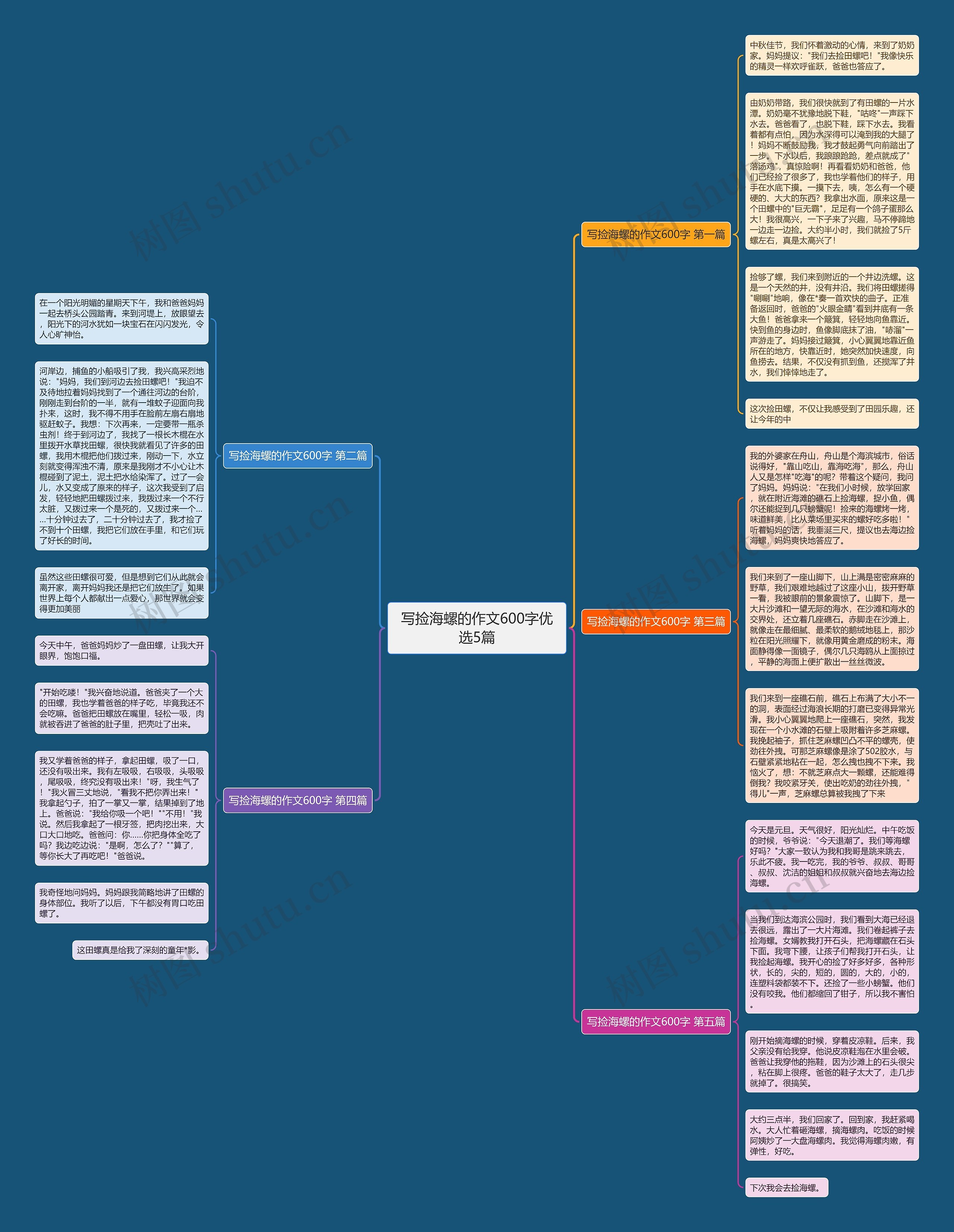 写捡海螺的作文600字优选5篇 写捡海螺的作文600字优选5篇