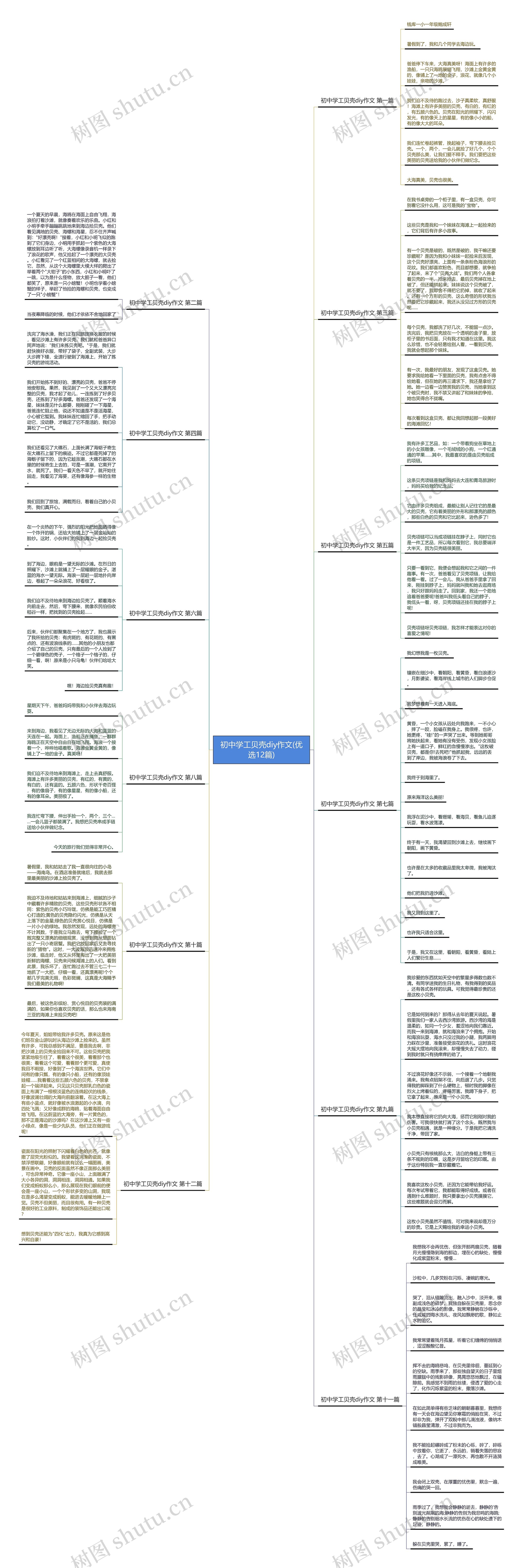 初中学工贝壳diy作文(优选12篇)思维导图
