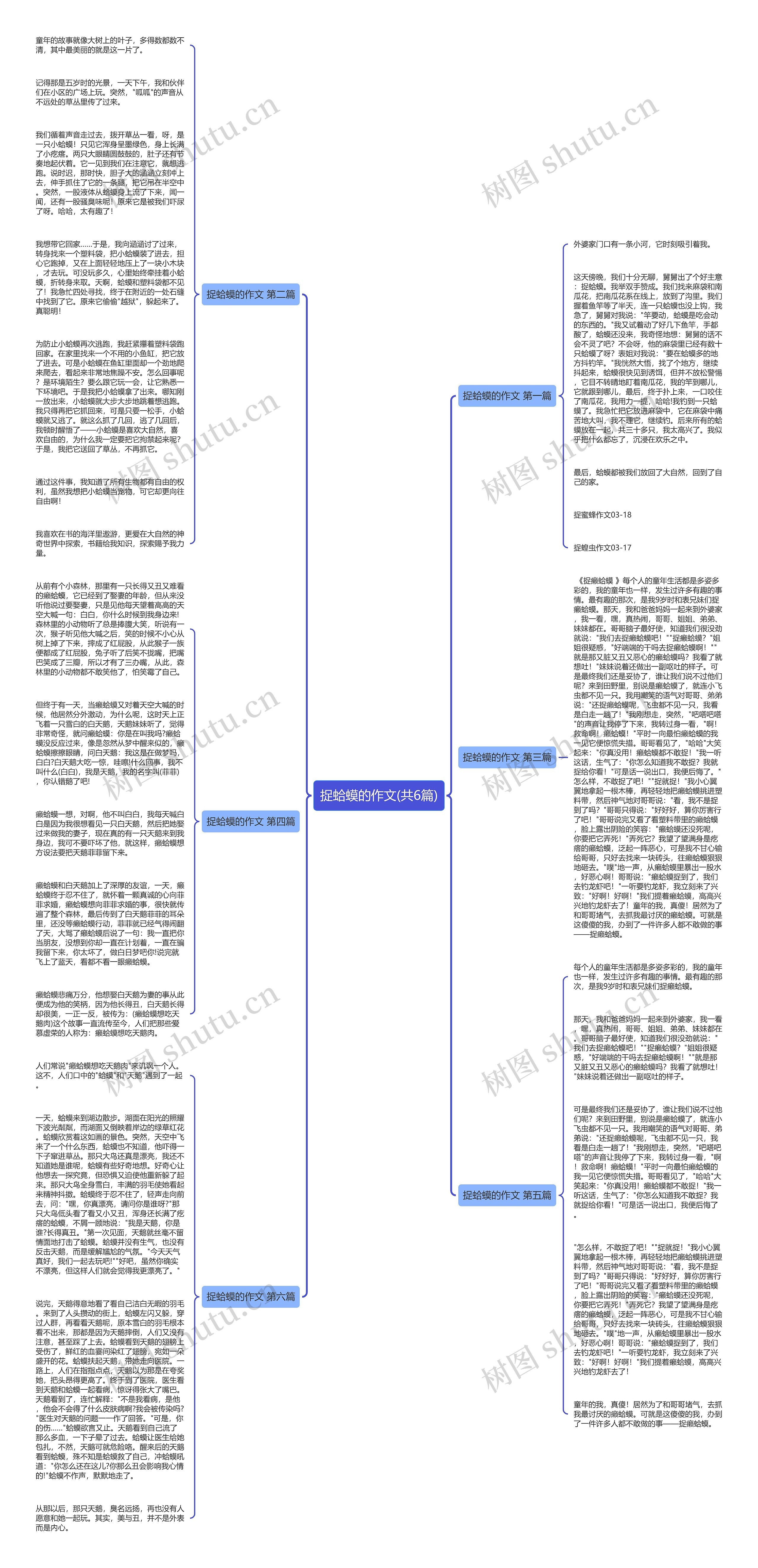 捉蛤蟆的作文(共6篇)思维导图