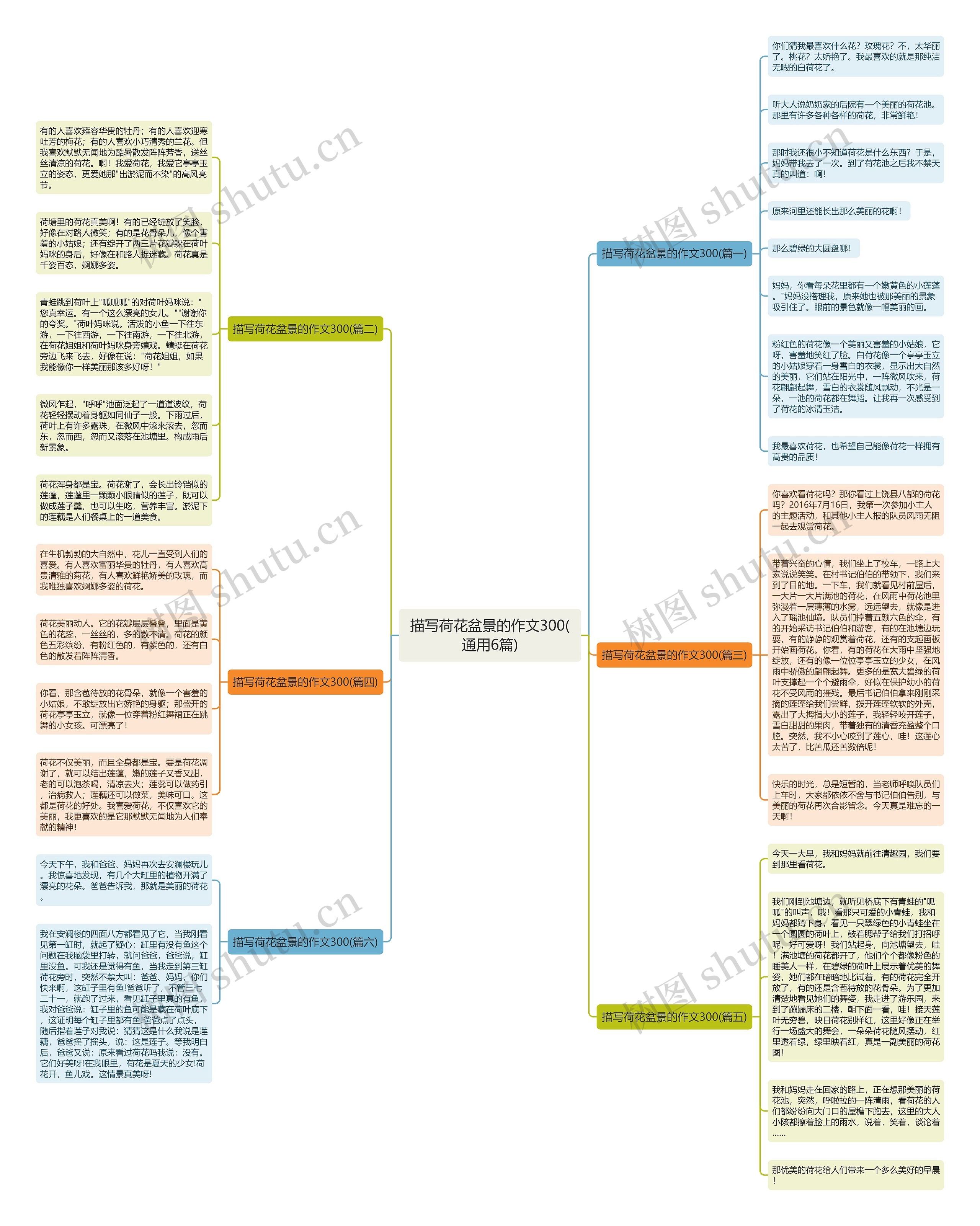 描写荷花盆景的作文300(通用6篇)思维导图