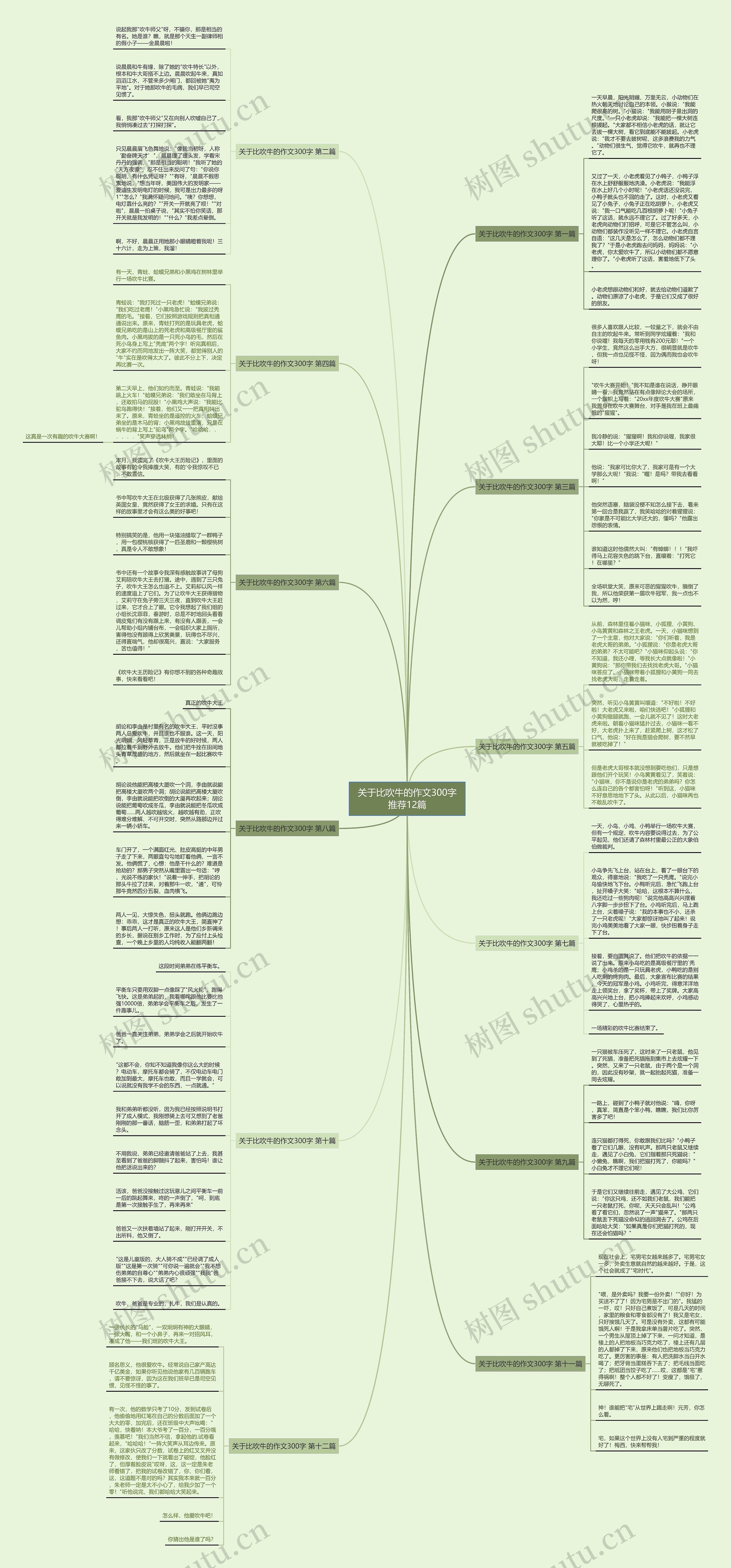 关于比吹牛的作文300字推荐12篇思维导图