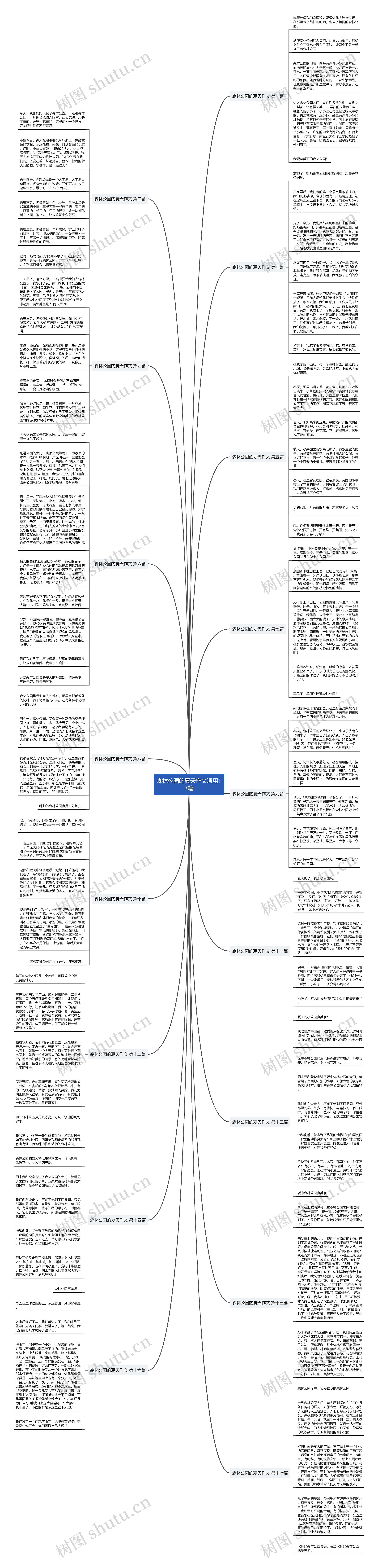 森林公园的夏天作文通用17篇思维导图